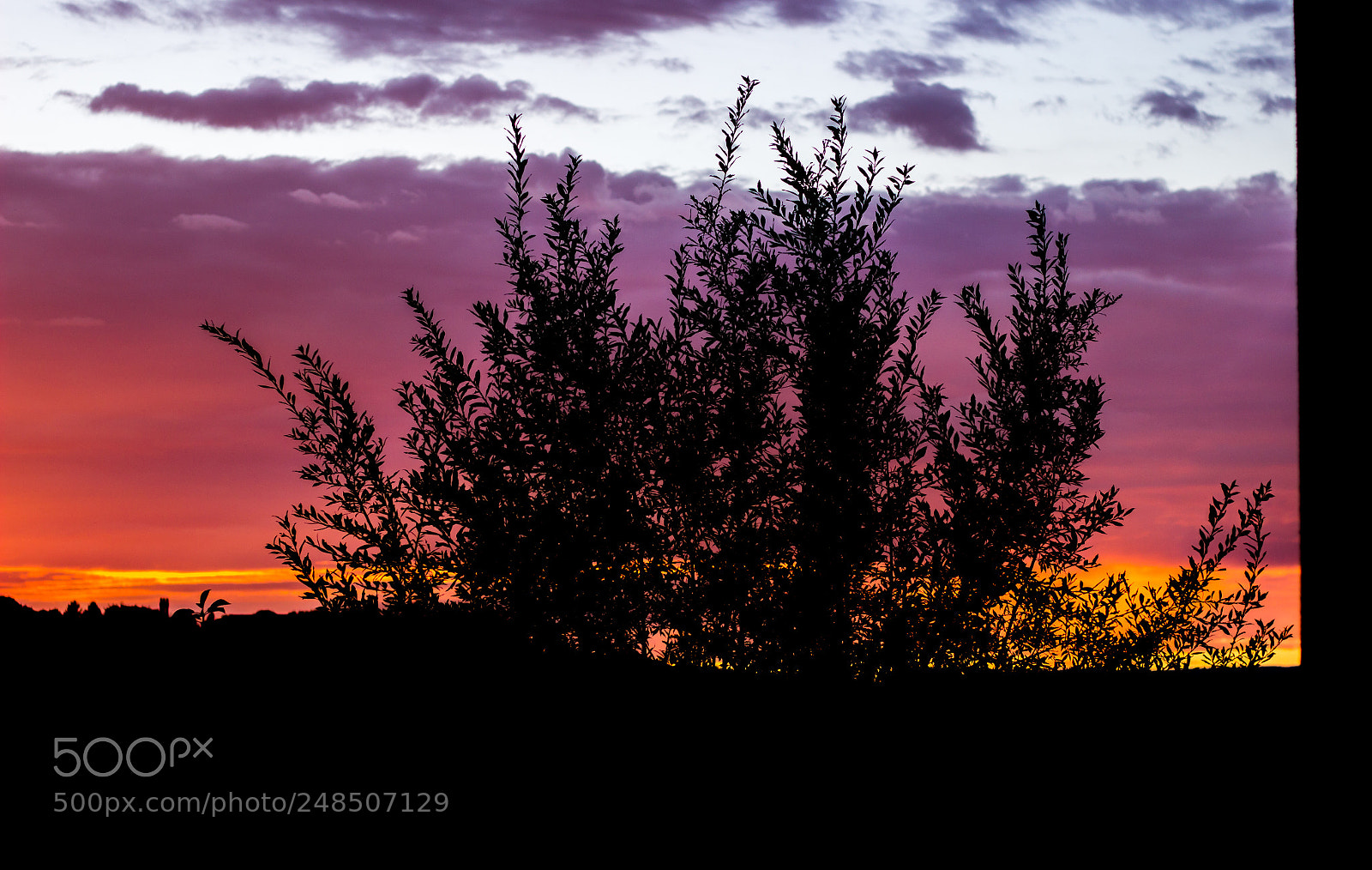 Canon EOS 600D (Rebel EOS T3i / EOS Kiss X5) sample photo. Sunset in zurich photography