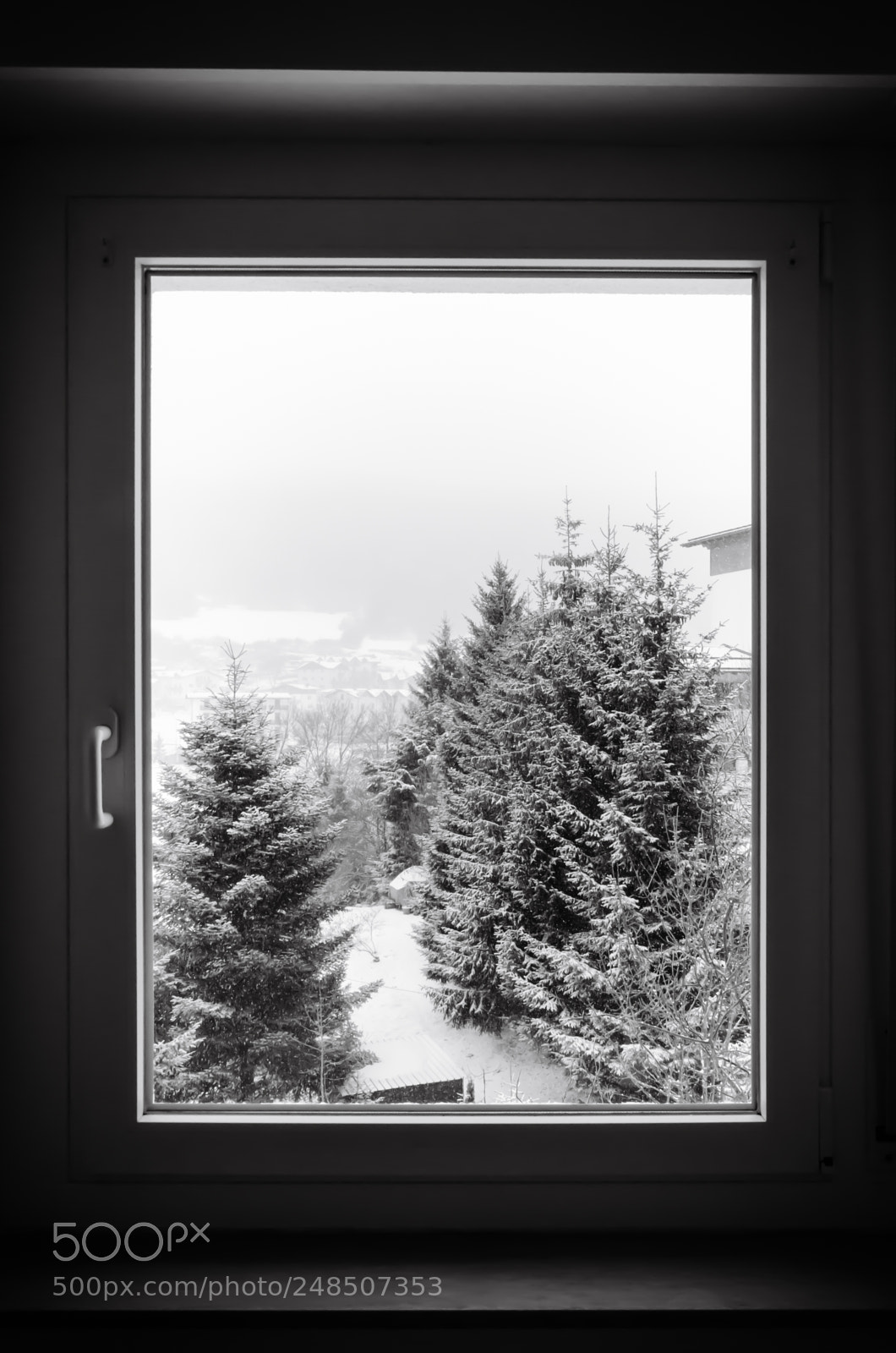 Nikon D5100 sample photo. Snowy day in andalo photography