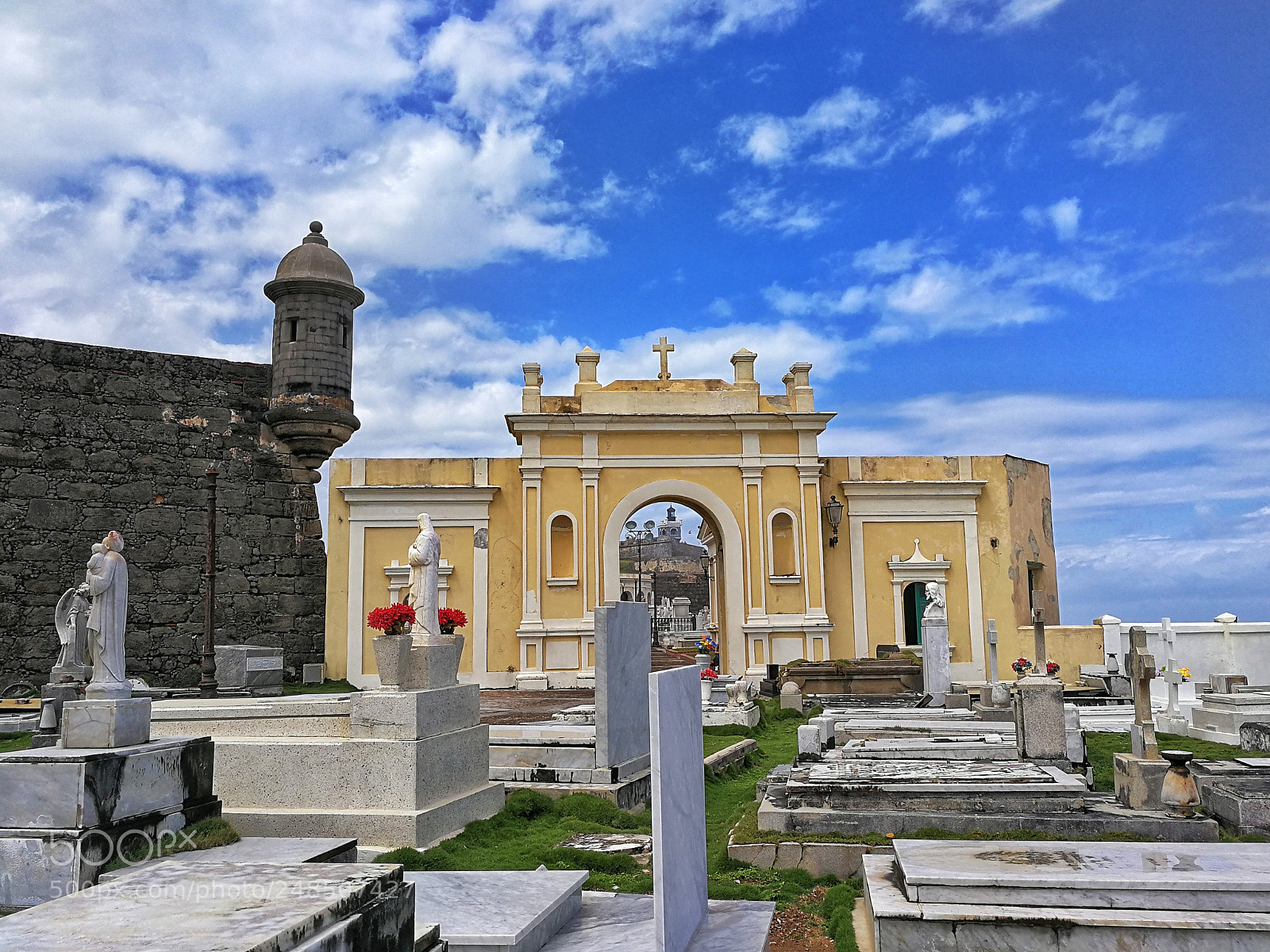 HUAWEI Mate 9 sample photo. Even in death there photography