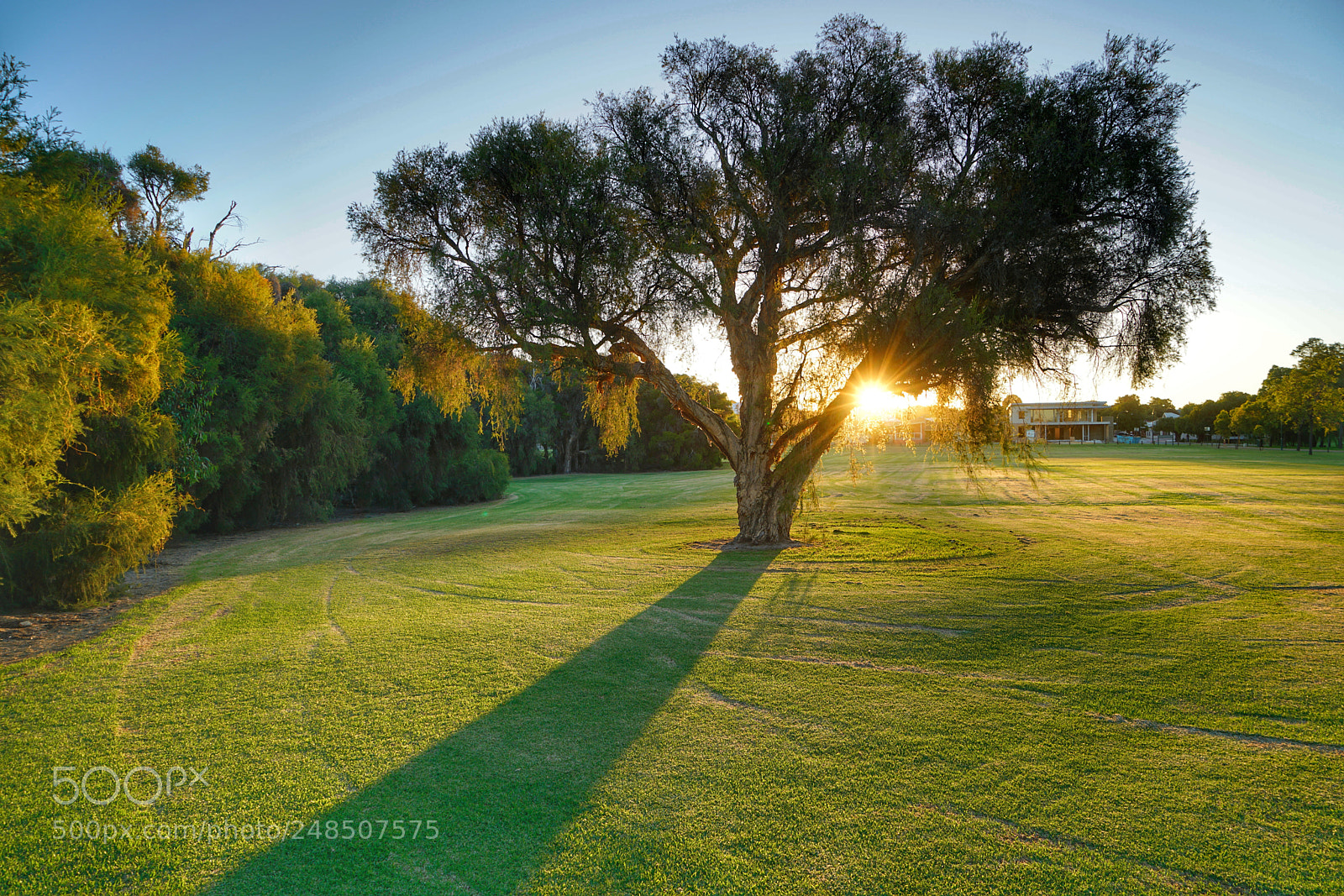 Sony a7R II sample photo. Circles photography
