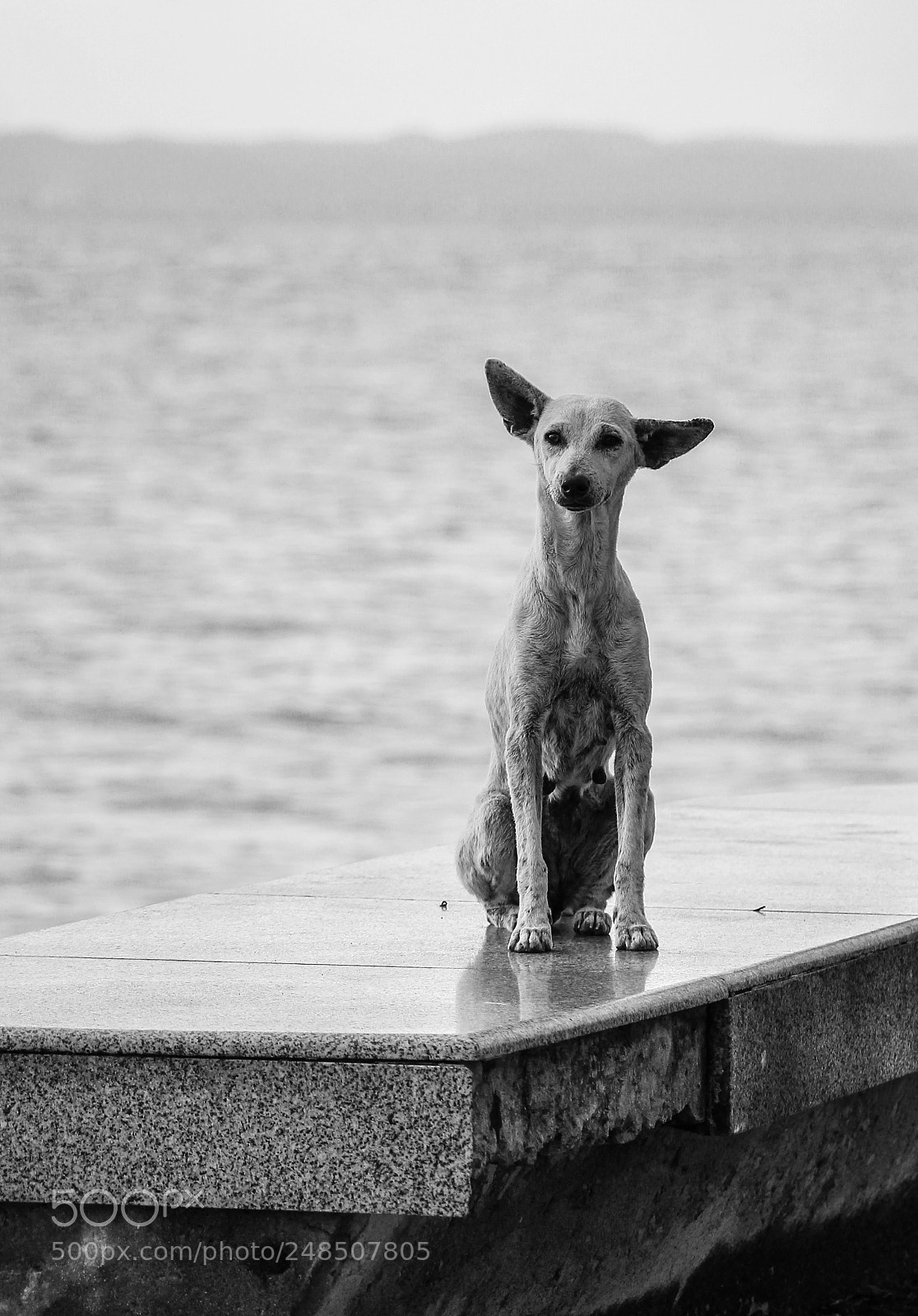 Canon EOS 60D sample photo. Untitled photography