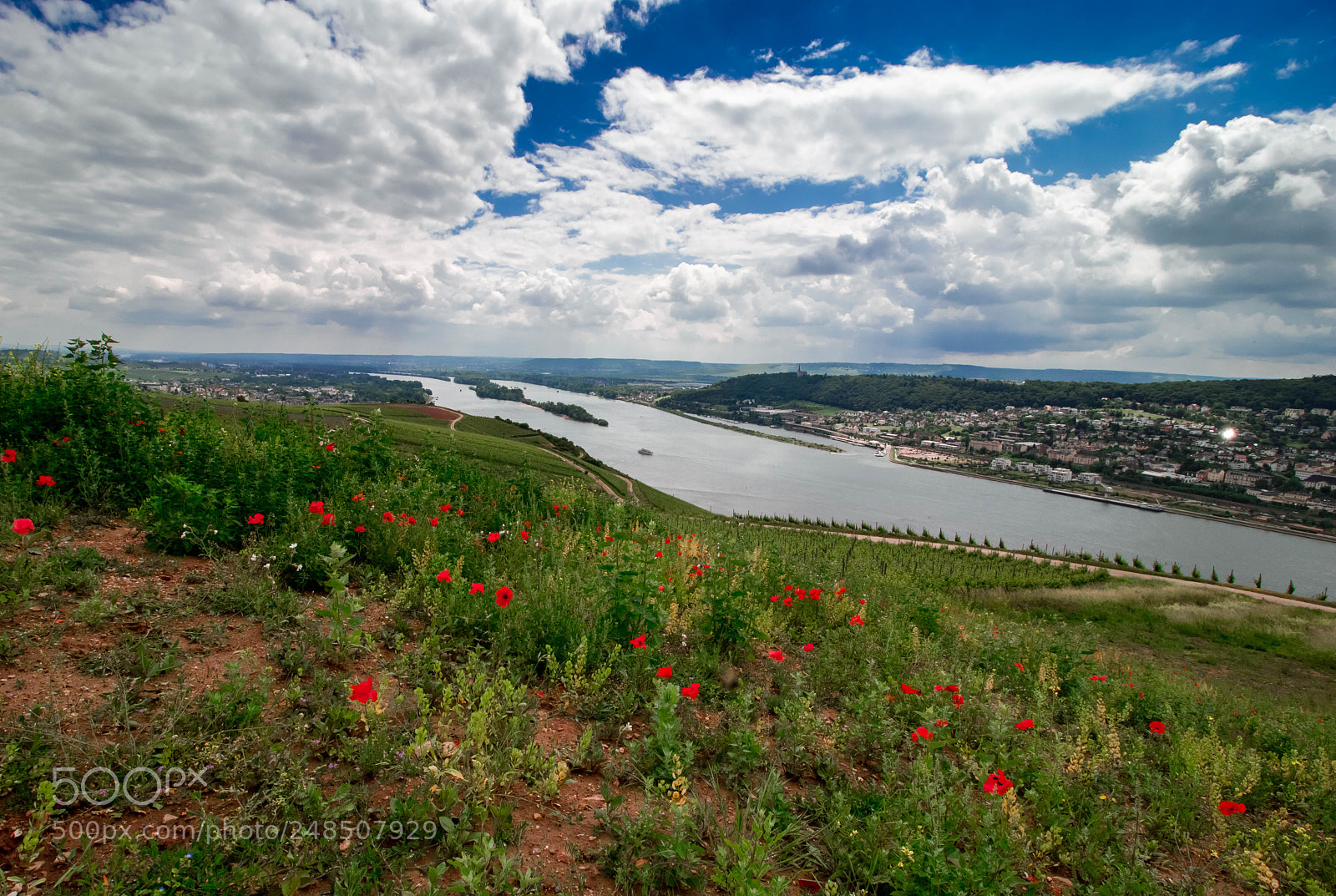 Canon EOS 750D (EOS Rebel T6i / EOS Kiss X8i) sample photo. By the rhein photography
