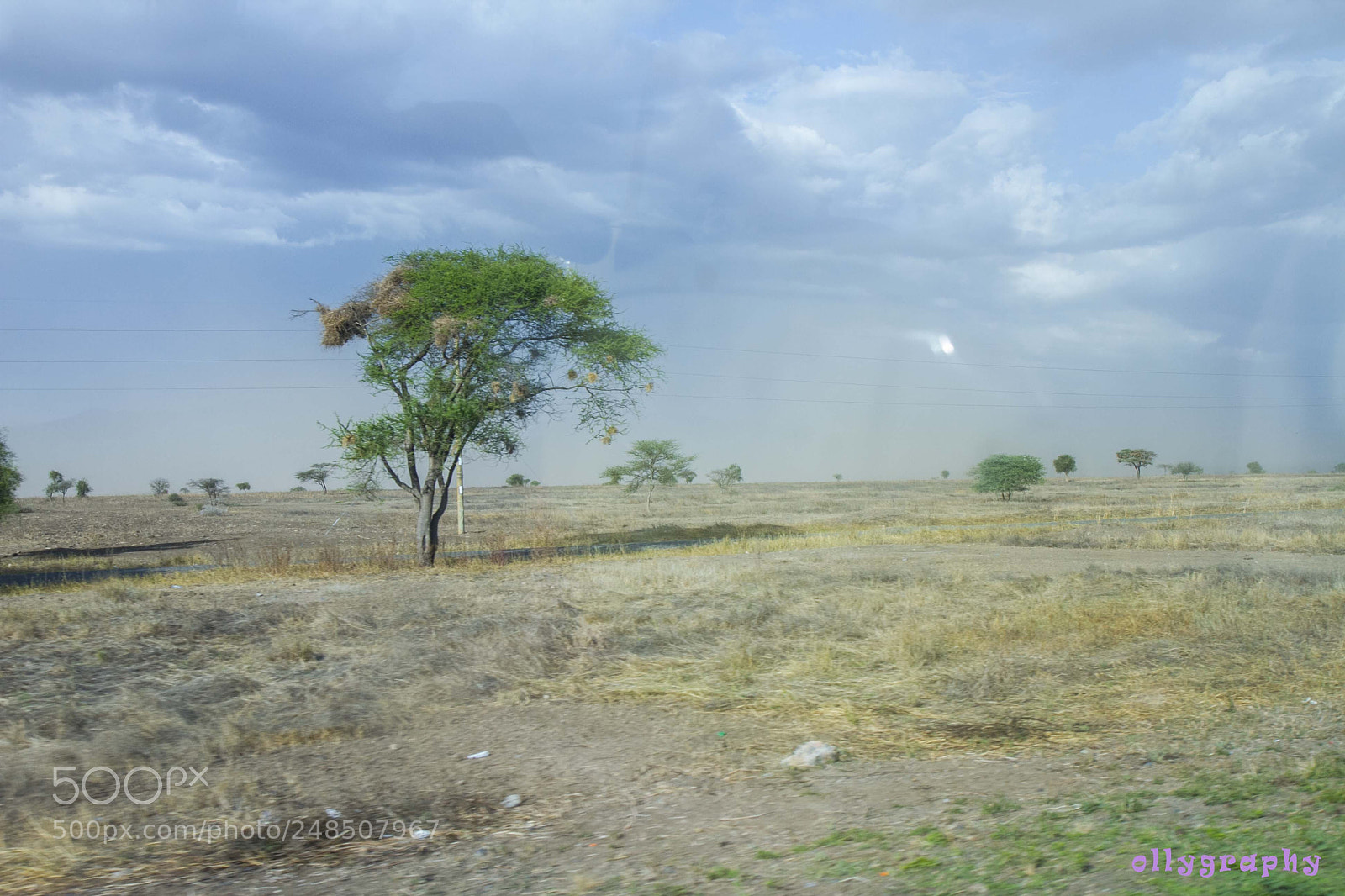 Canon EOS 7D sample photo. Img photography