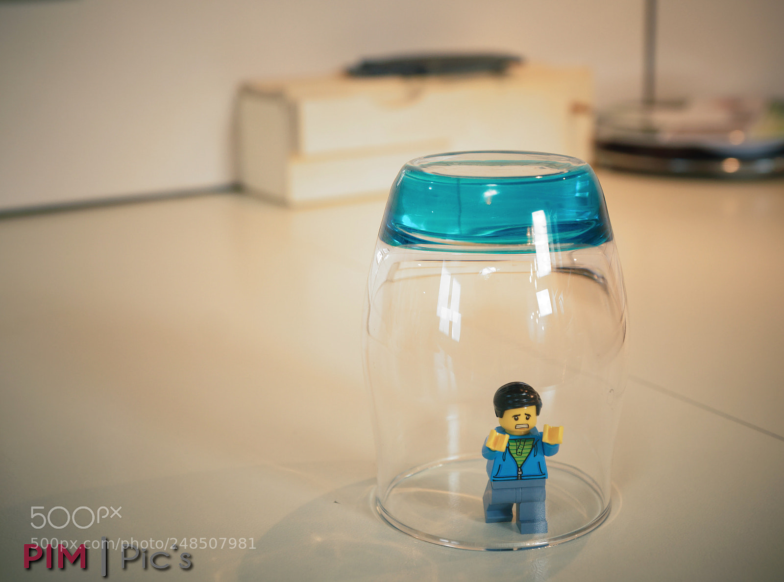 Sony SLT-A77 sample photo. Glass prison photography