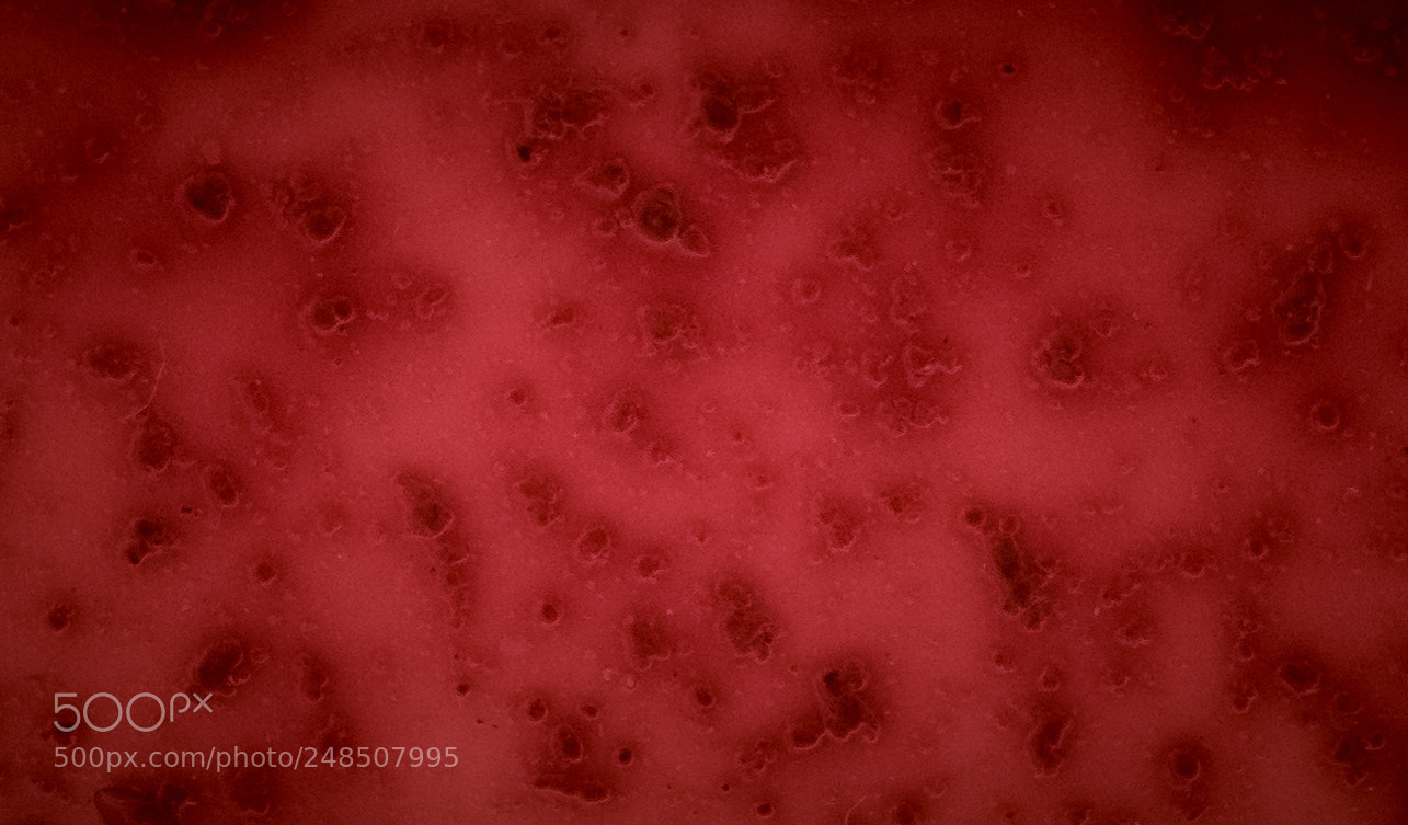 Nikon D7100 sample photo. Blood or tea photography