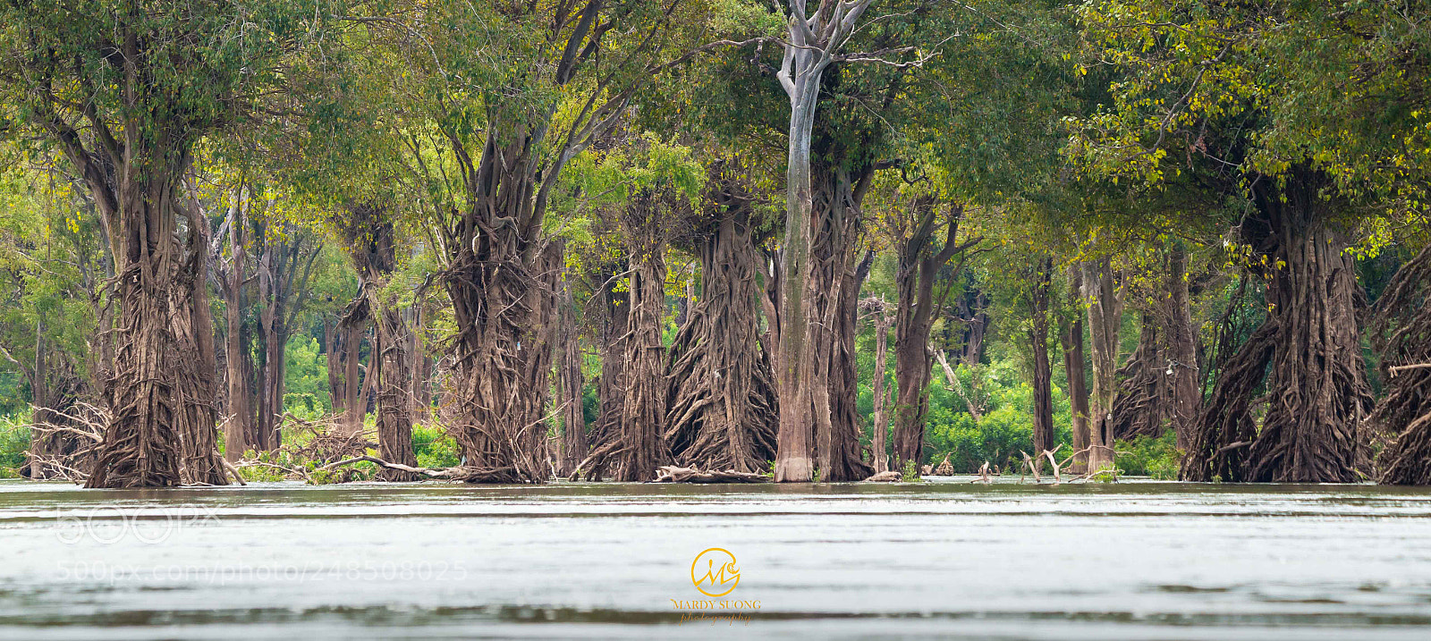 Nikon D800 sample photo. ស្អាតទេបងប្អូន? is it beautiful, everyone? photography