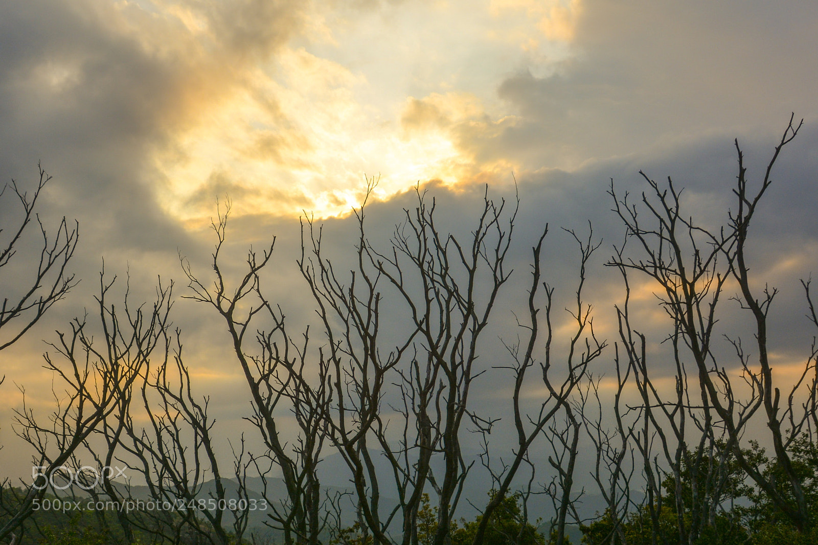 Nikon D7100 sample photo. Untitled photography