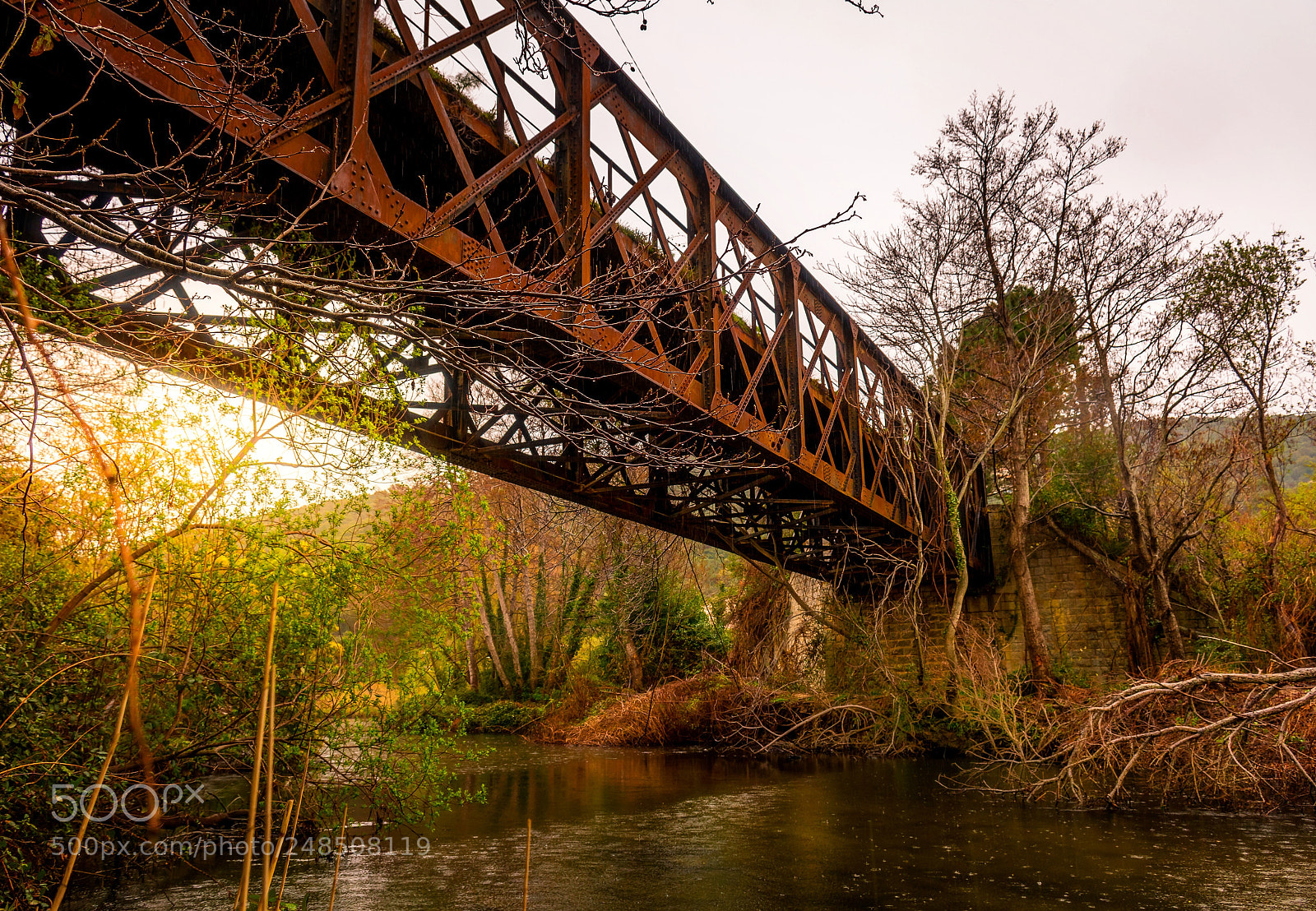 Nikon D7500 sample photo. Bridge of steel photography