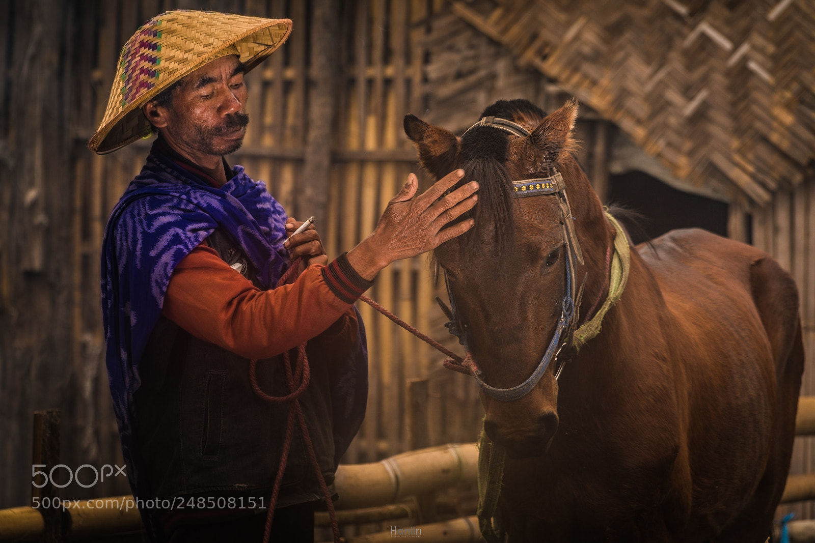 Sony a7R II sample photo. Horse breeder photography