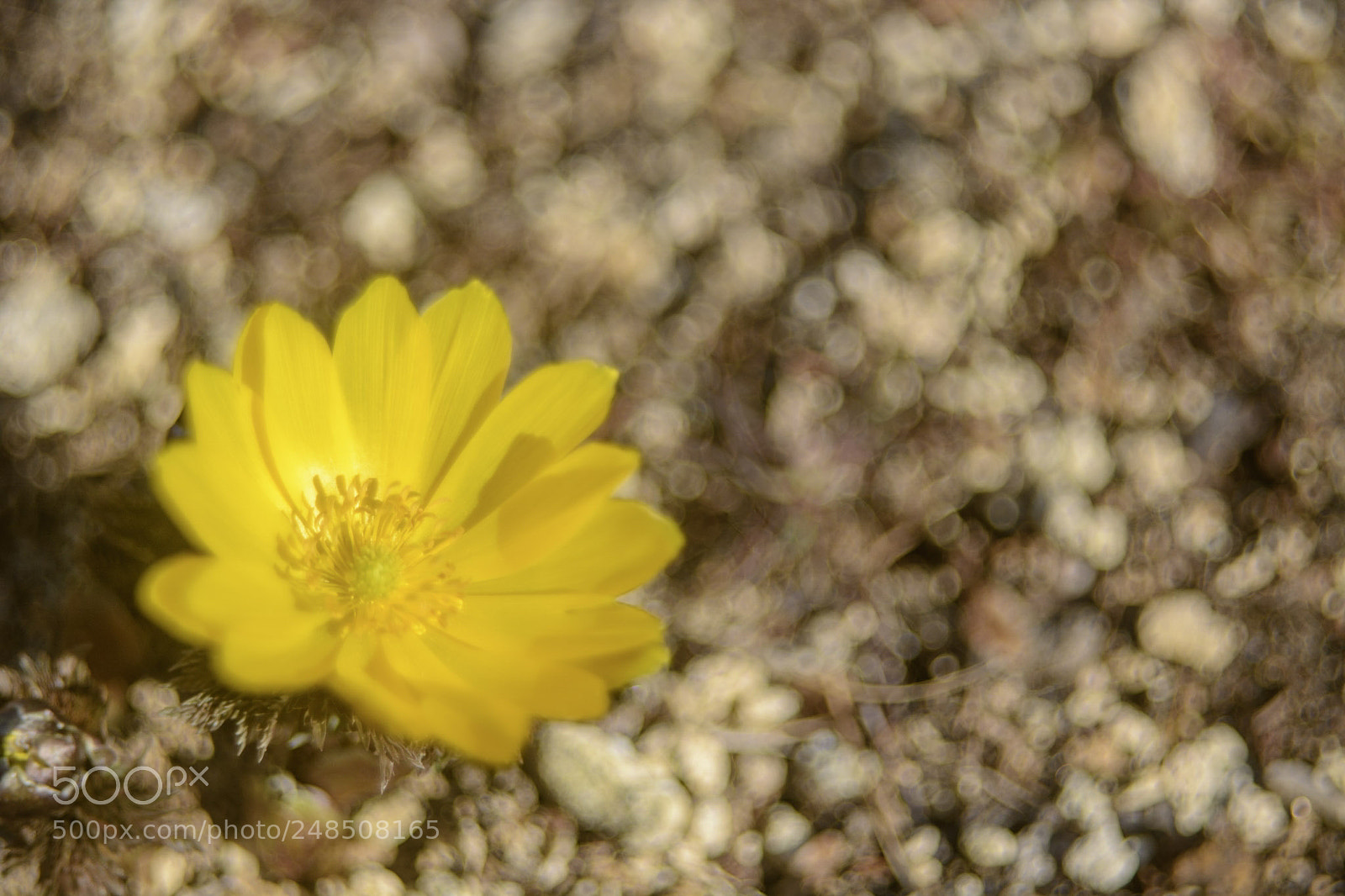 Nikon D7100 sample photo. Happy&celebrate...maybe photography