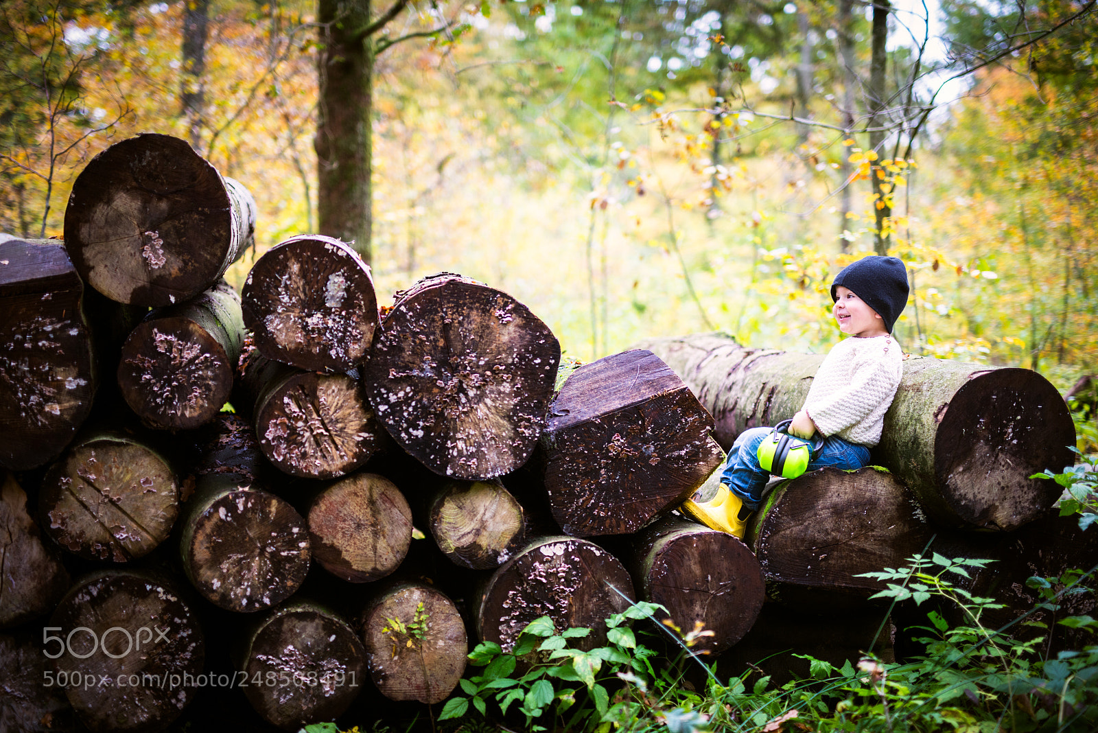 Nikon D800 sample photo. Wood-worker photography