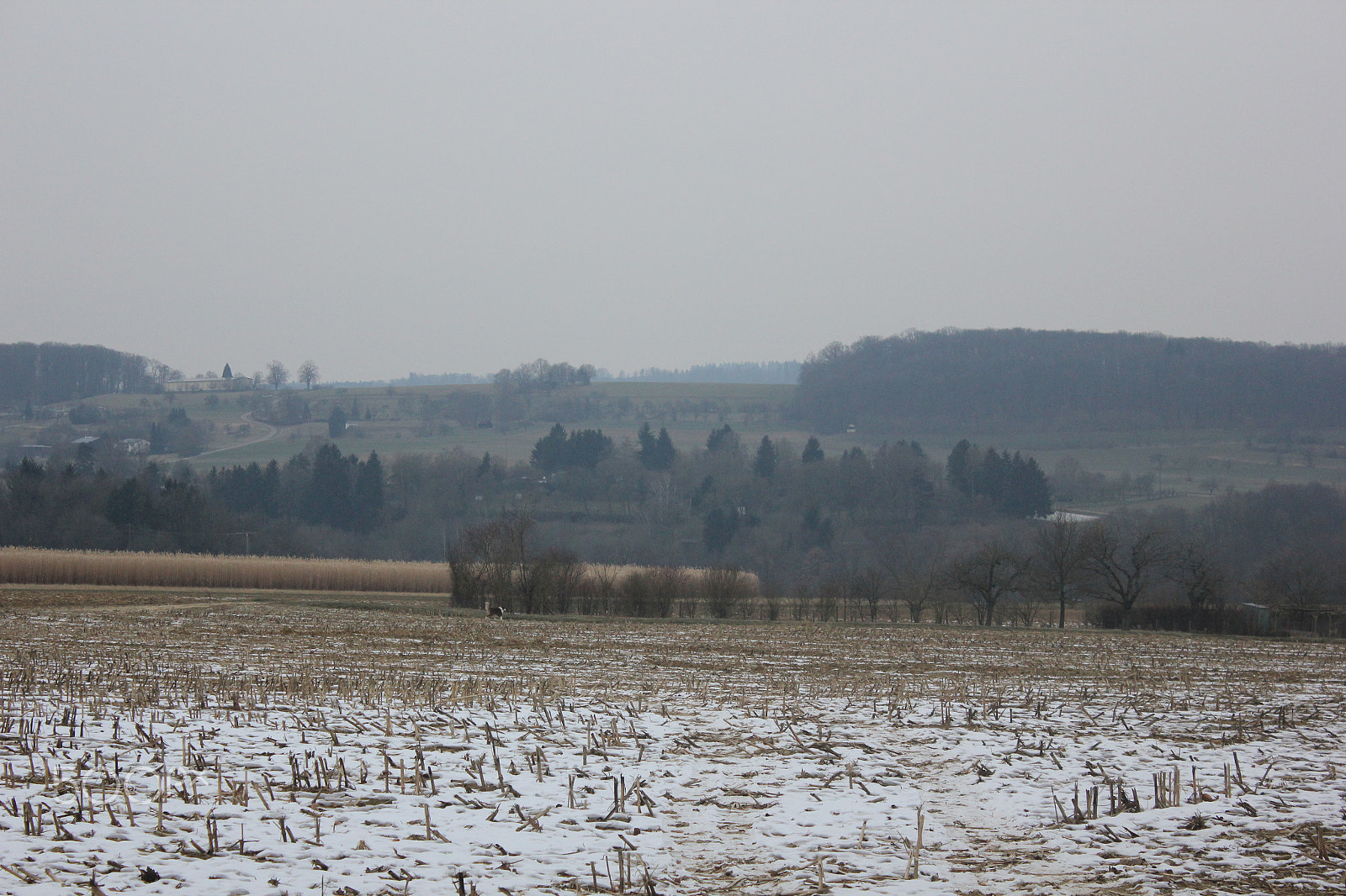 Canon EOS 550D (EOS Rebel T2i / EOS Kiss X4) sample photo. Winterlandschft bei nebel photography