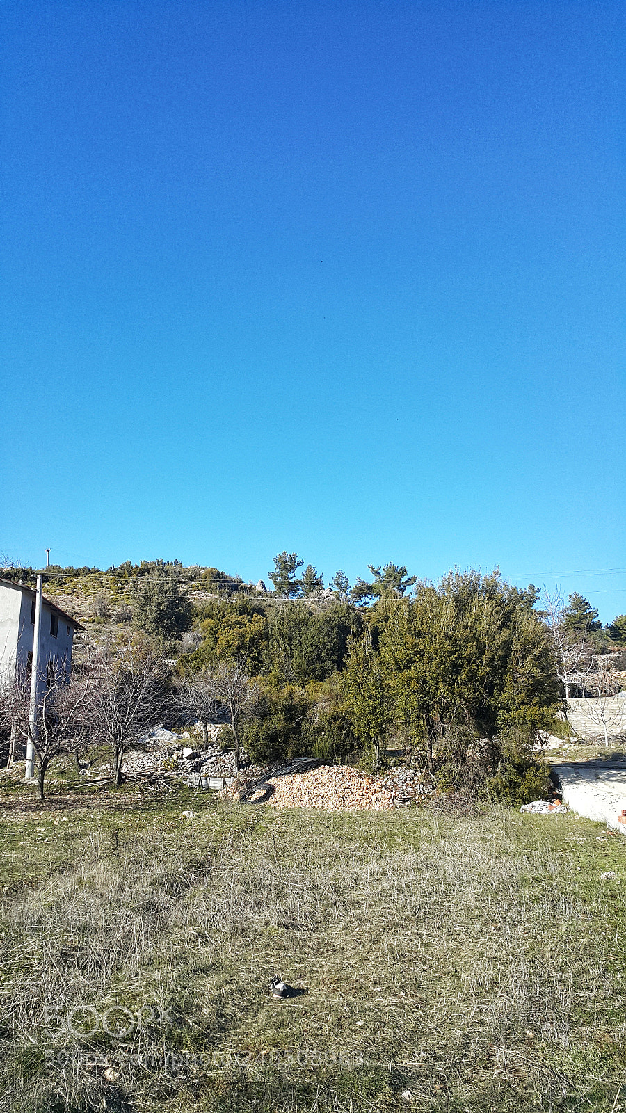 Samsung Galaxy Note4 sample photo. Untitled photography