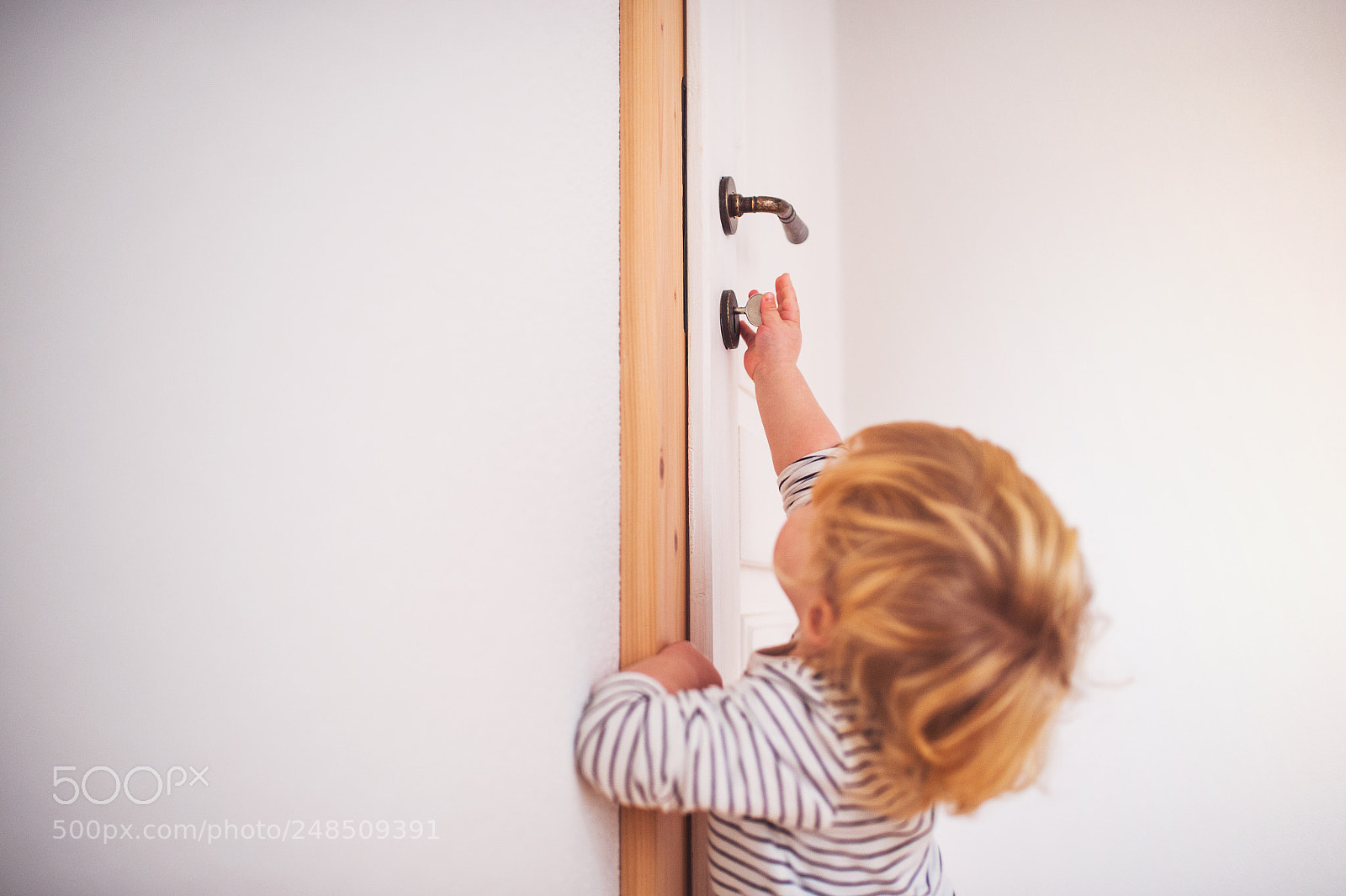 Nikon D4S sample photo. Toddler boy in a photography