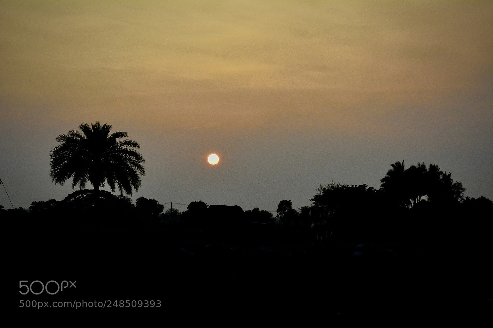 Nikon D5200 sample photo. Beautitiful photography