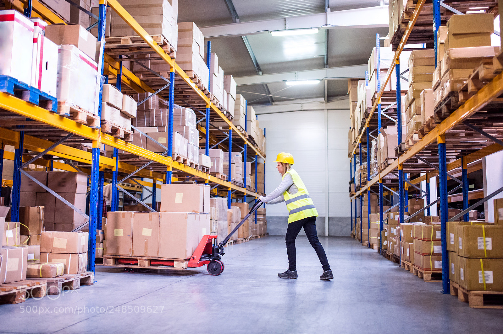 Nikon D4S sample photo. Woman warehouse worker with photography