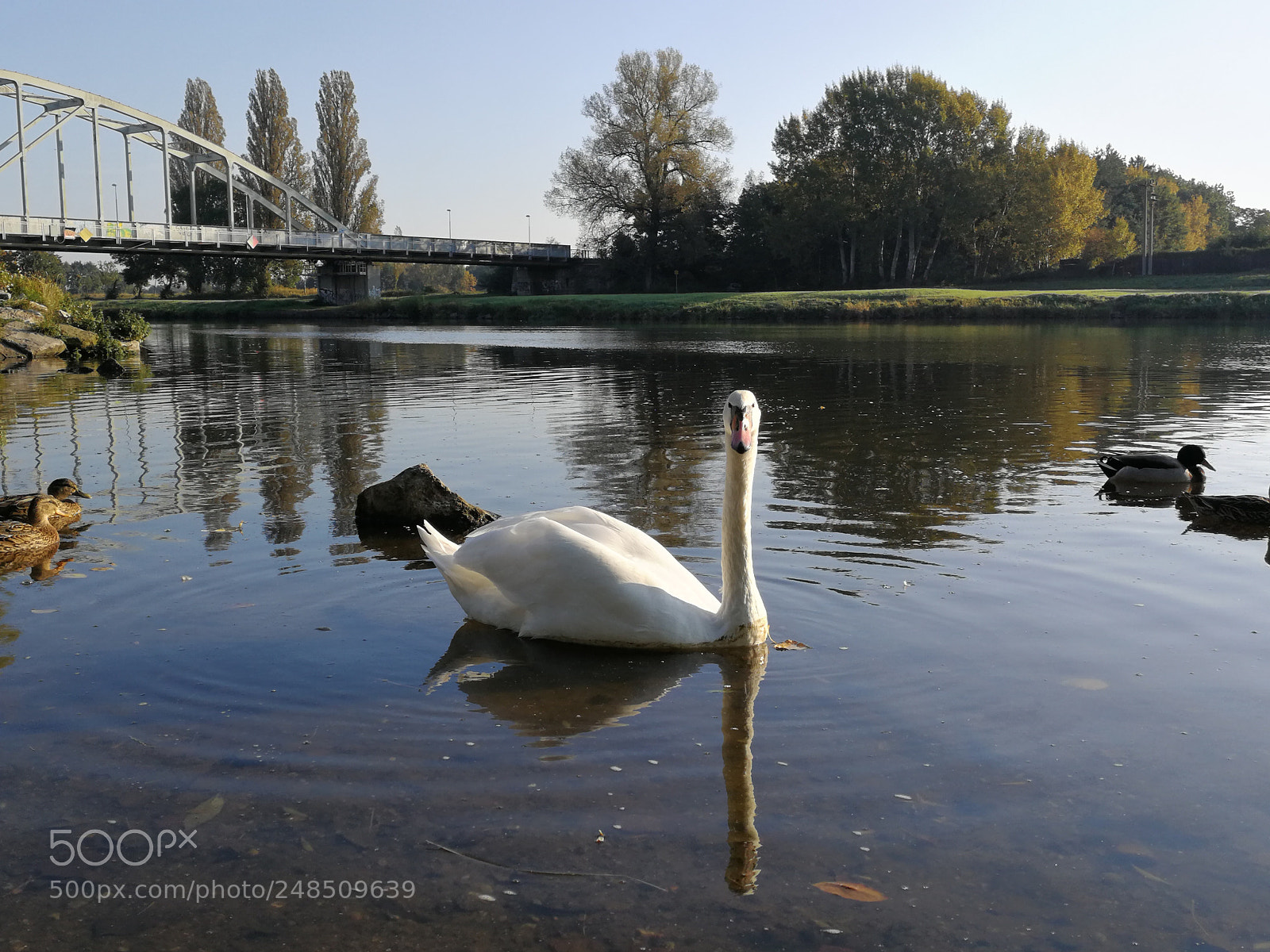 HUAWEI P10 sample photo. Untitled photography