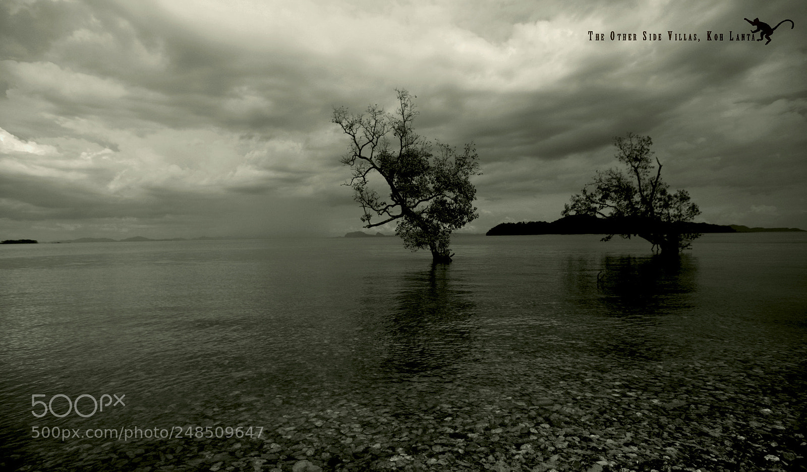 Canon EOS-1Ds Mark III sample photo. The other side villas photography
