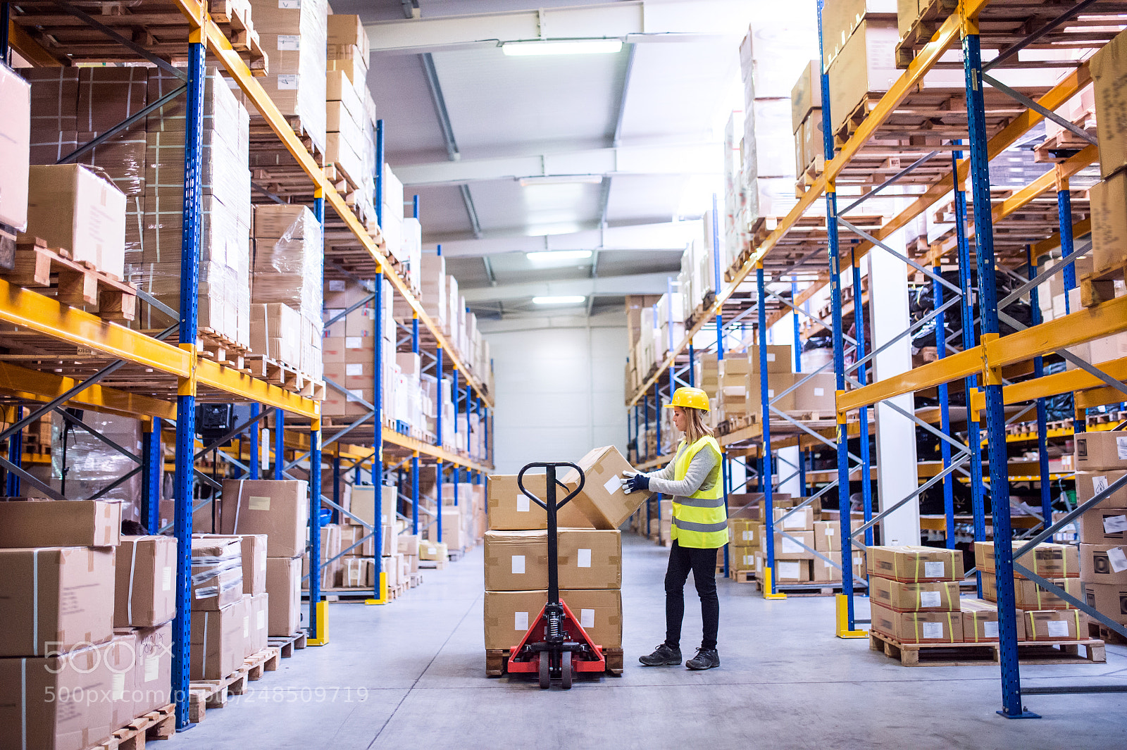 Nikon D4S sample photo. Female warehouse worker loading photography