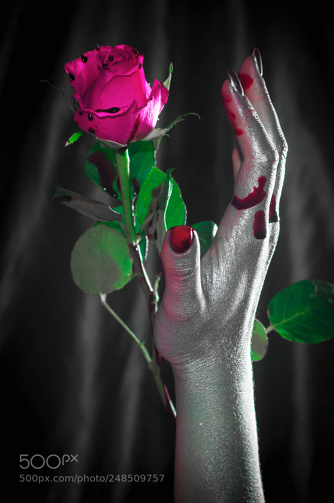 Nikon D90 sample photo. Rosenrot photography