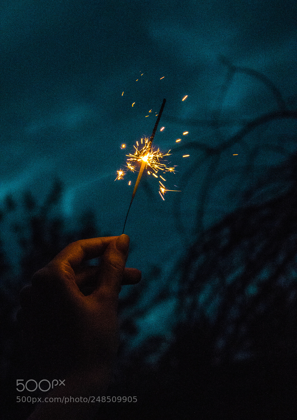 Canon EOS 700D (EOS Rebel T5i / EOS Kiss X7i) sample photo. Squib nights. photography