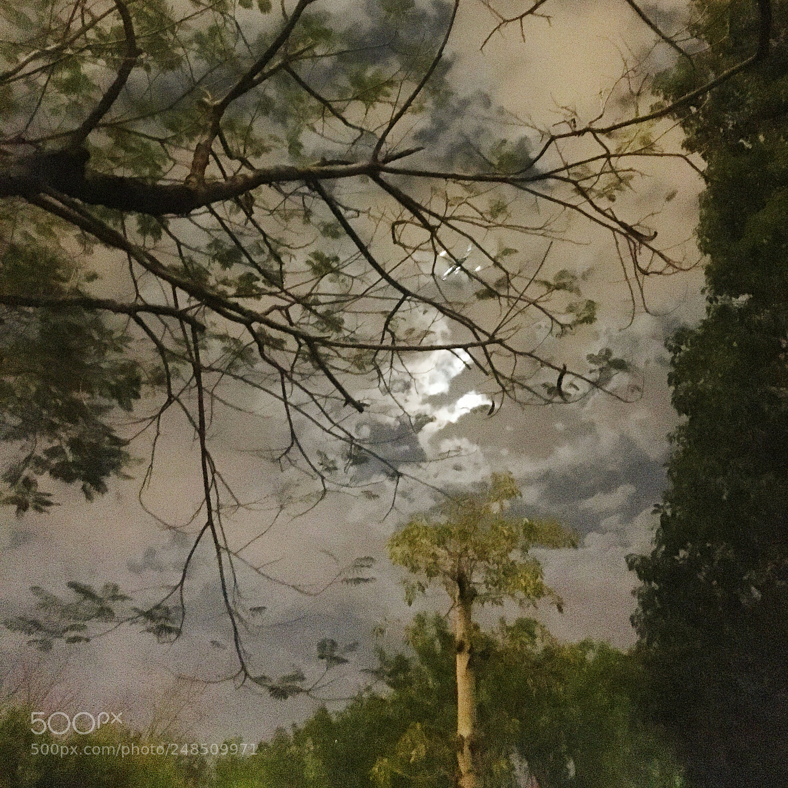 Apple iPhone 6s sample photo. 水墨画！ photography