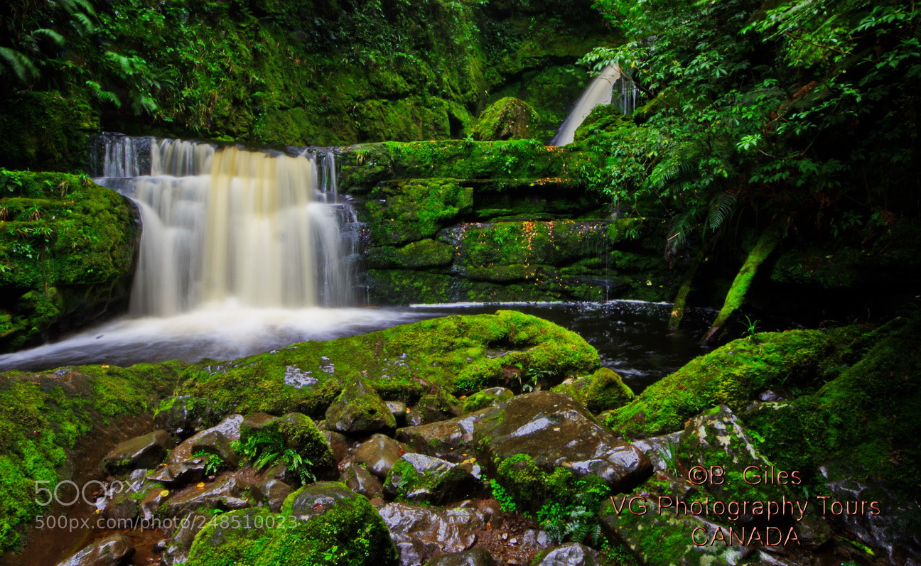 Pentax K-5 IIs sample photo. New zealand photography