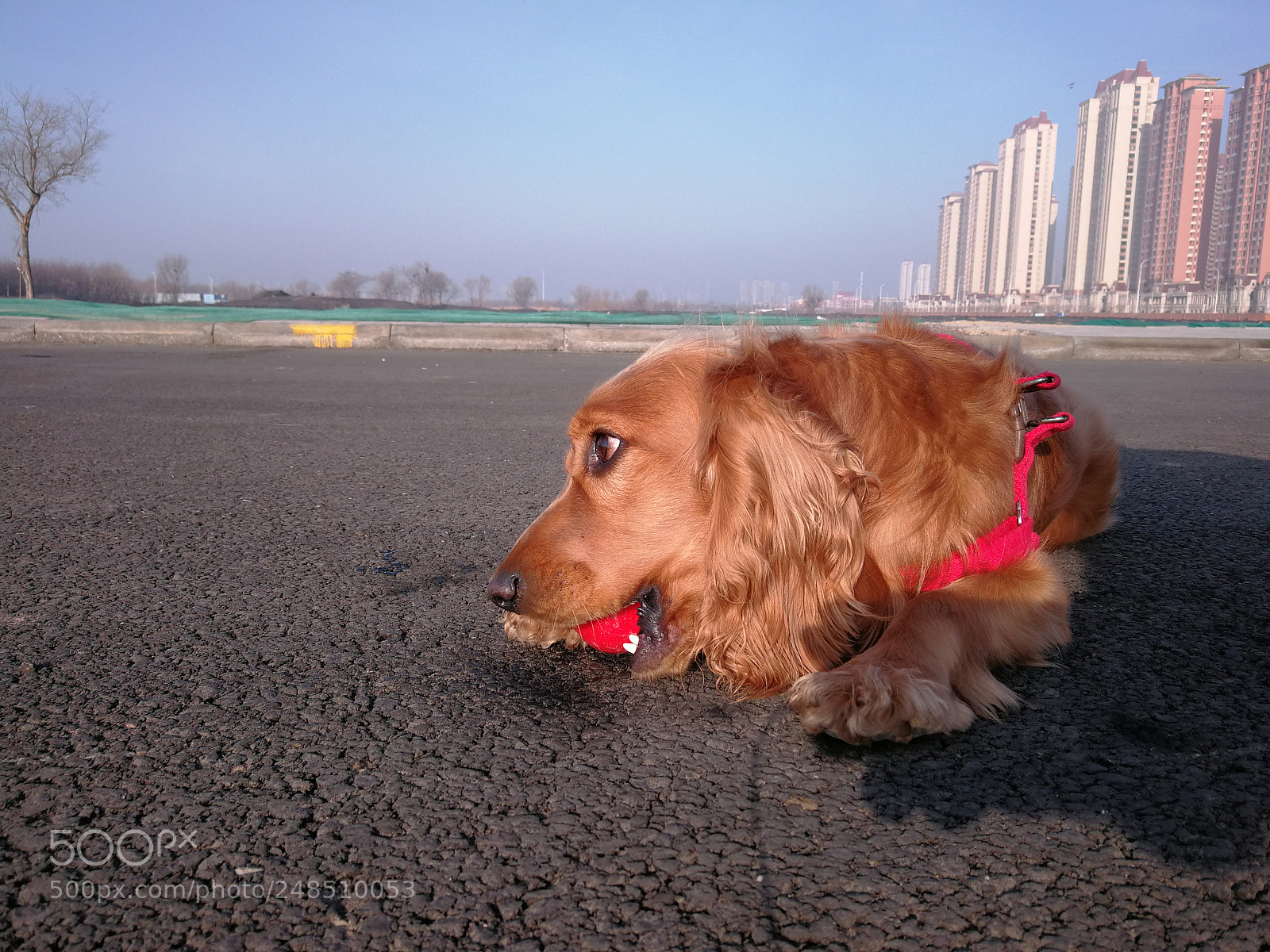 HUAWEI Mate 9 sample photo. Untitled photography