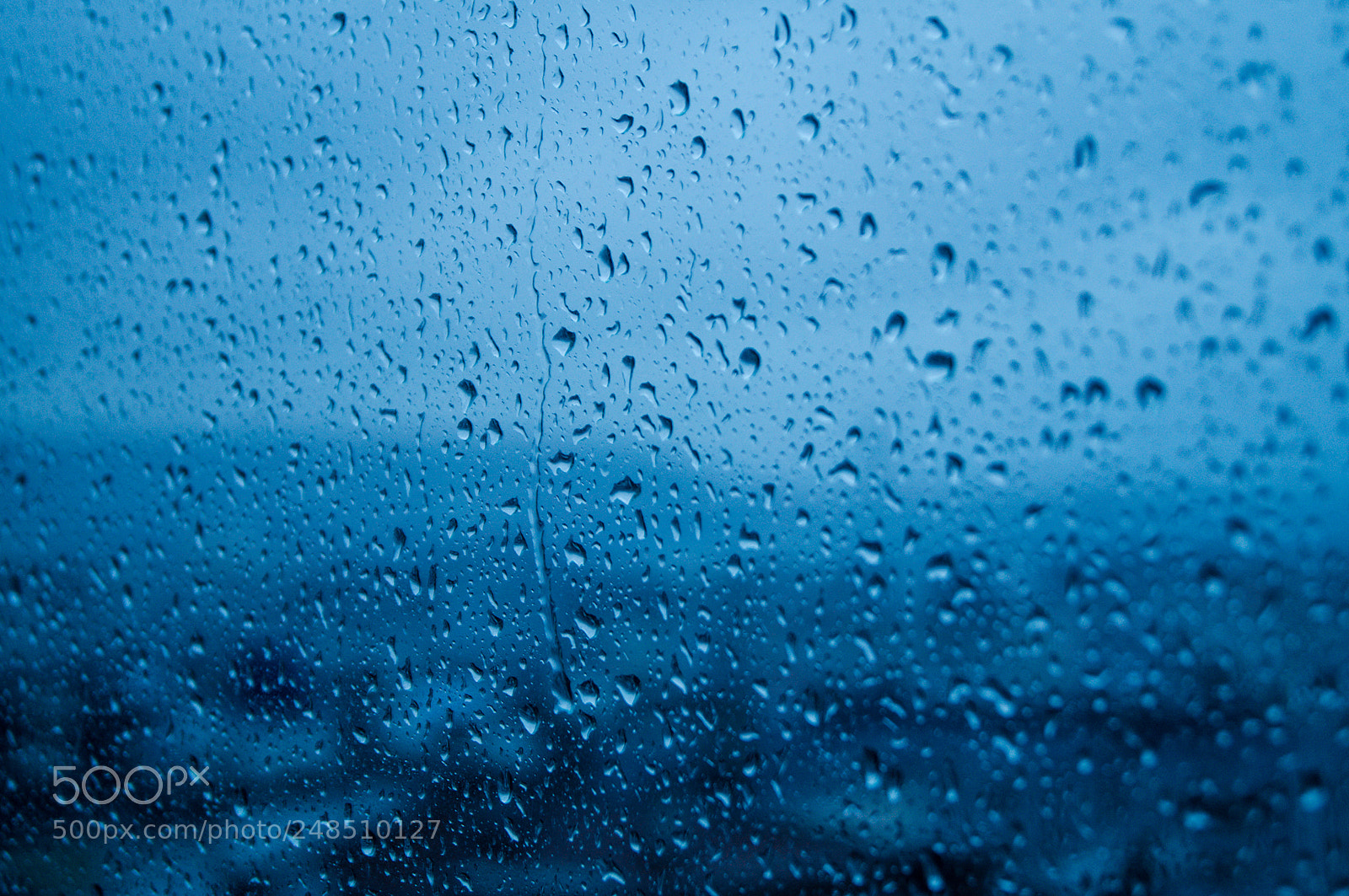 Sony SLT-A37 sample photo. Rain photography