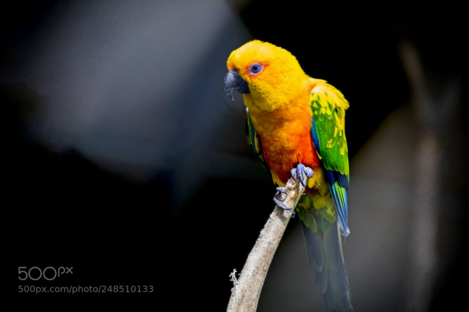 Canon EOS 80D sample photo. Img photography