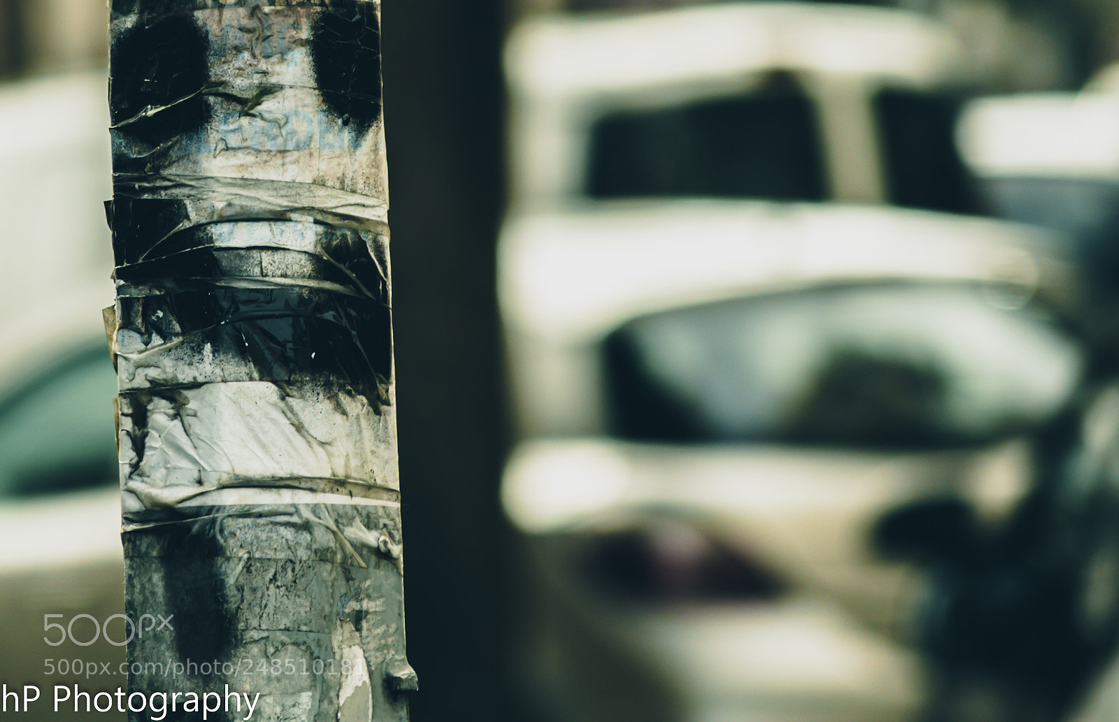 Sony SLT-A37 sample photo. Portfolio 1 photography
