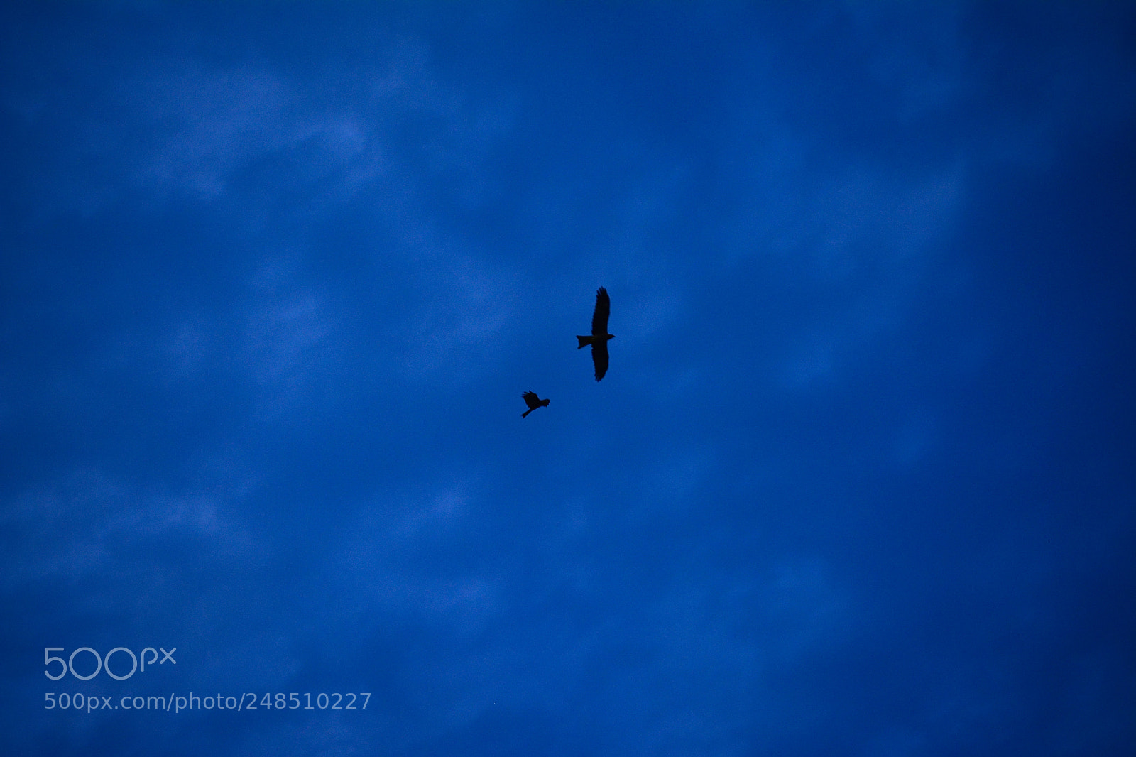 Nikon D5200 sample photo. Sky :) photography