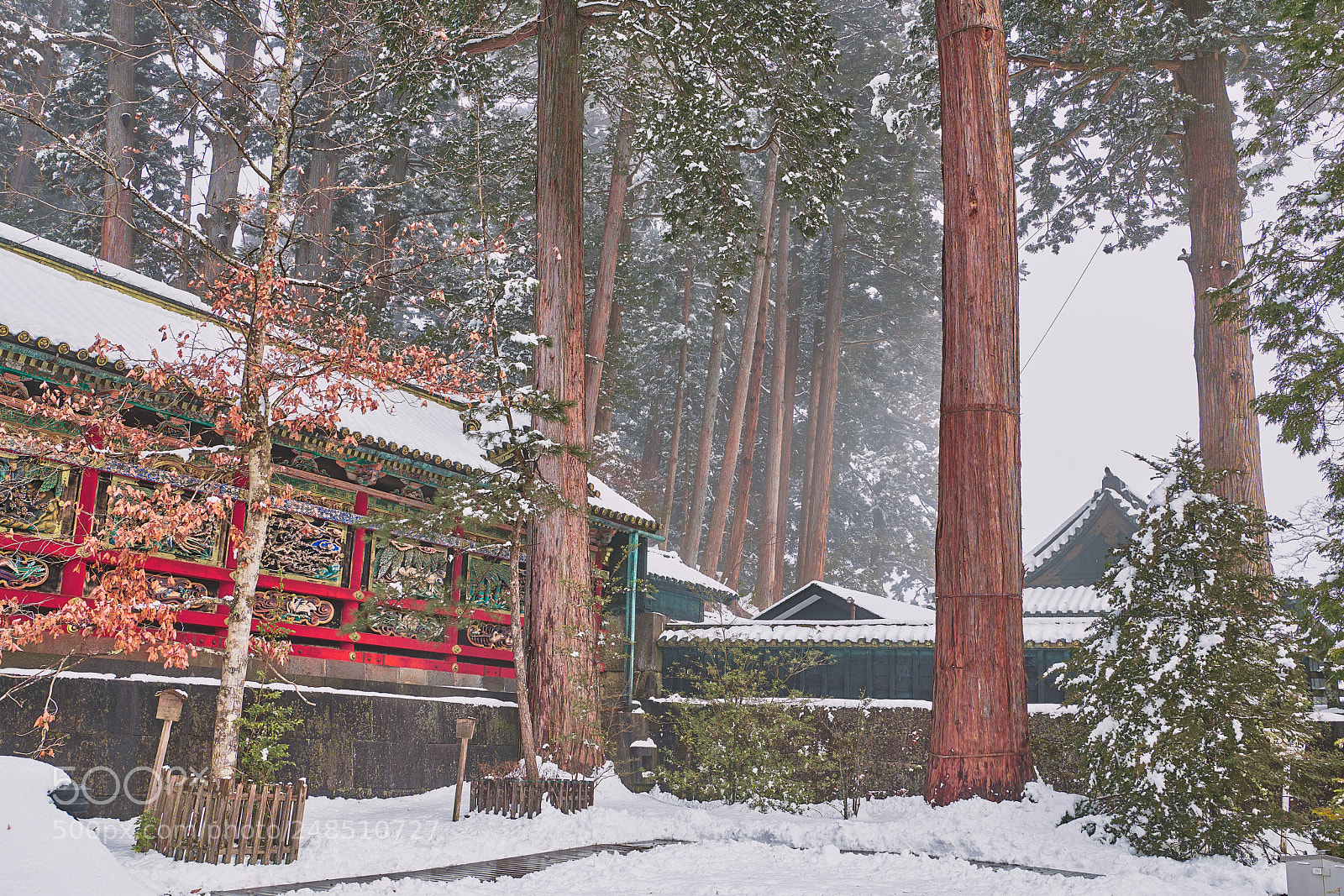 Nikon D850 sample photo. Snow haze photography