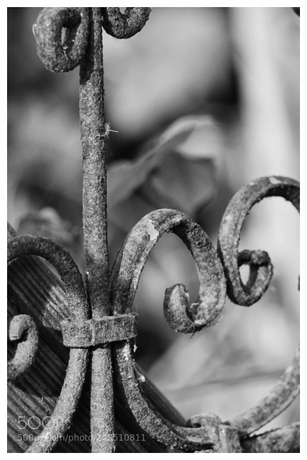 Sony a6000 sample photo. Rusty old ...thingy photography
