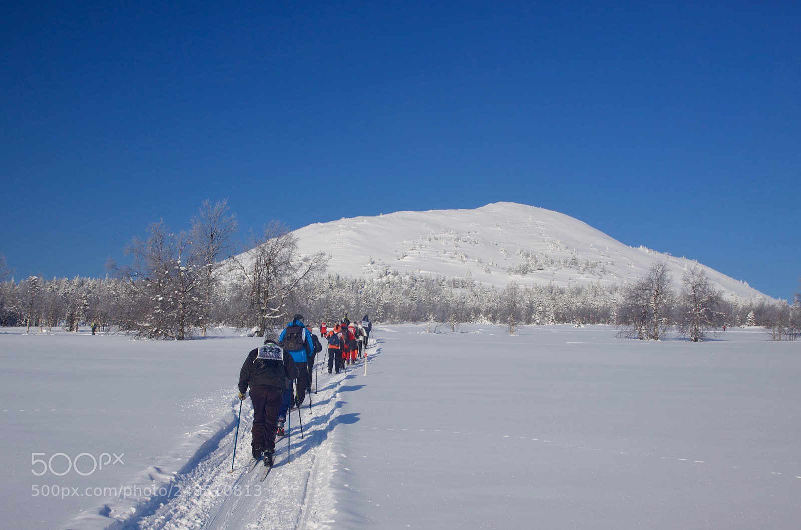 Canon EOS 50D sample photo. Ski marathon in the photography
