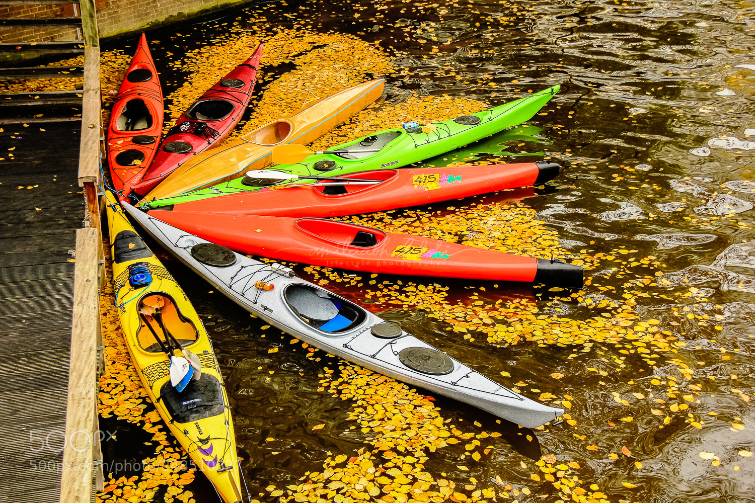 Canon EOS 550D (EOS Rebel T2i / EOS Kiss X4) sample photo. Petals of boats photography