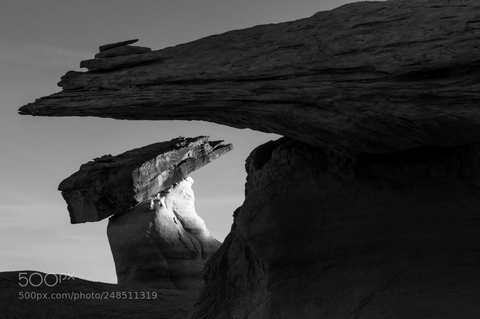 Nikon D300 sample photo. Stud horse point photography