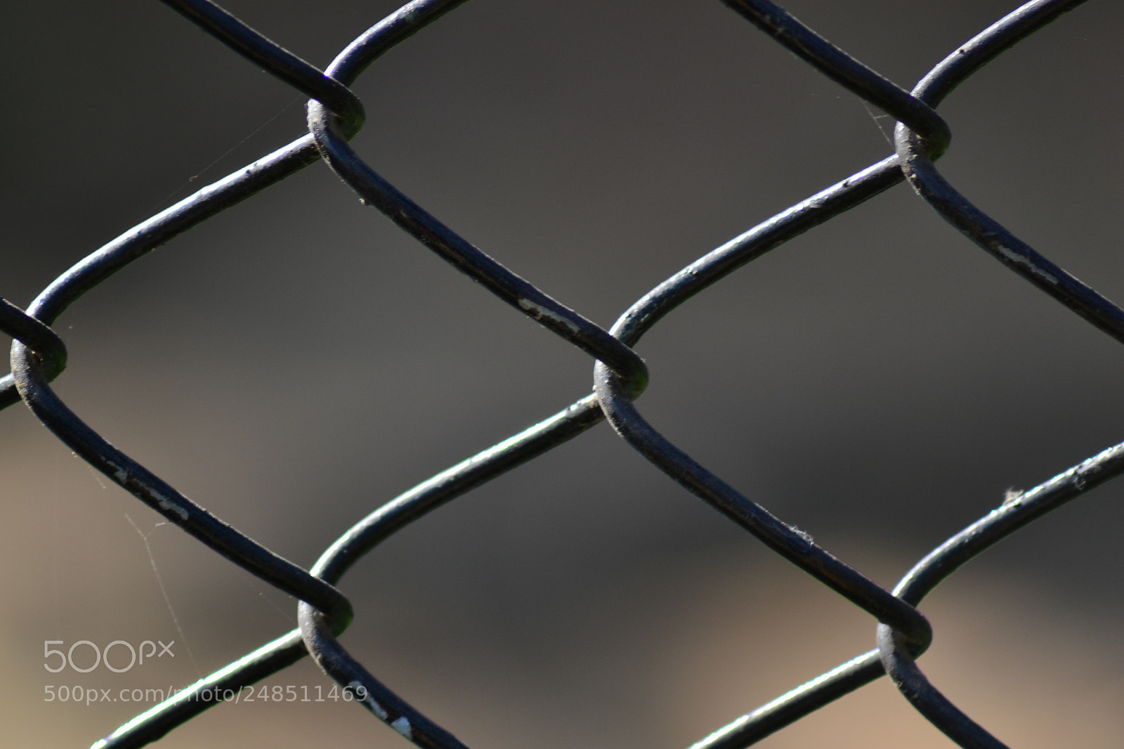 Nikon D3100 sample photo. Barricade photography