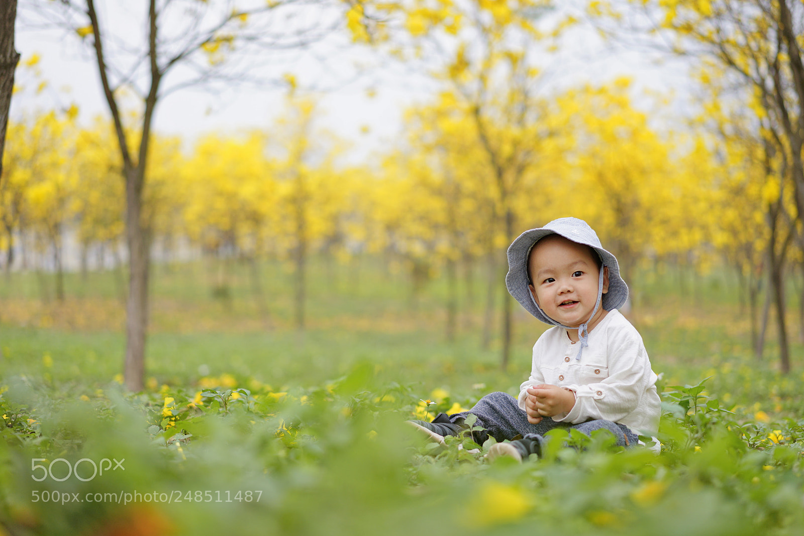 Sony a7 II sample photo. Yellow photography