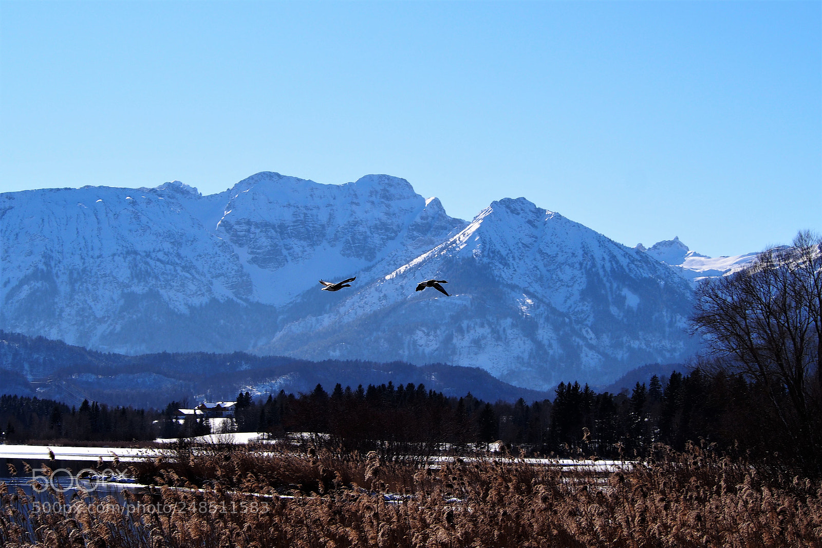 Olympus PEN E-PL5 sample photo. Departure photography