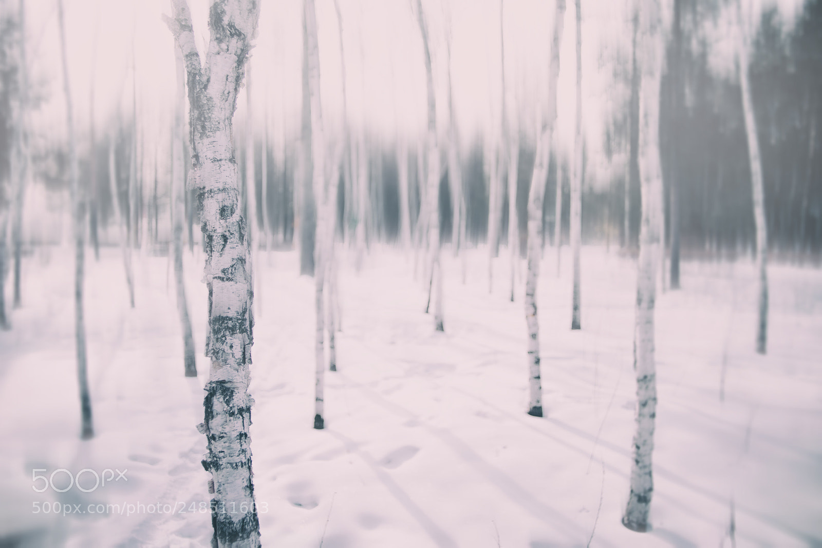 Pentax K-1 sample photo. -30°c, good morning photography