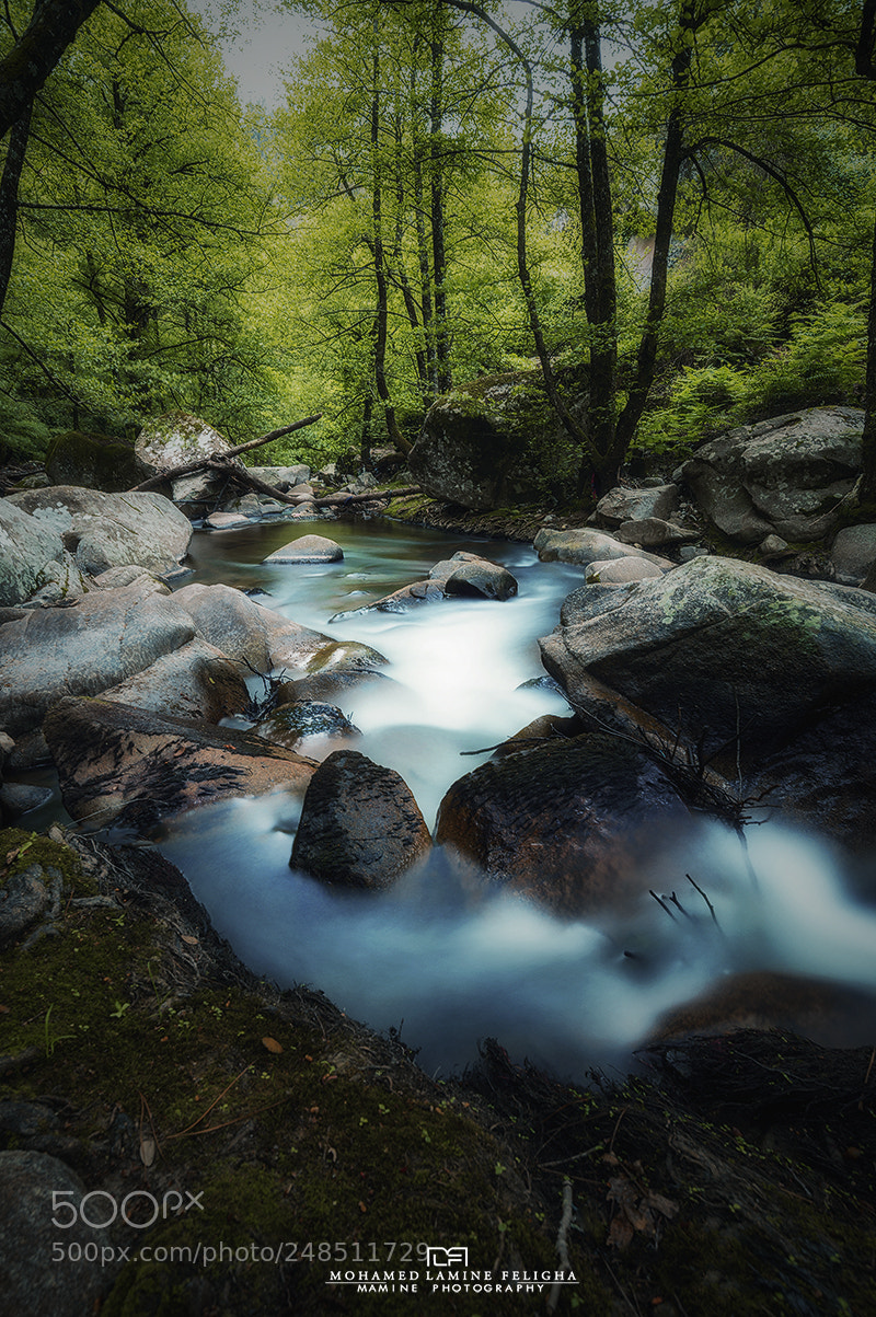 Nikon D610 sample photo. Valley photography