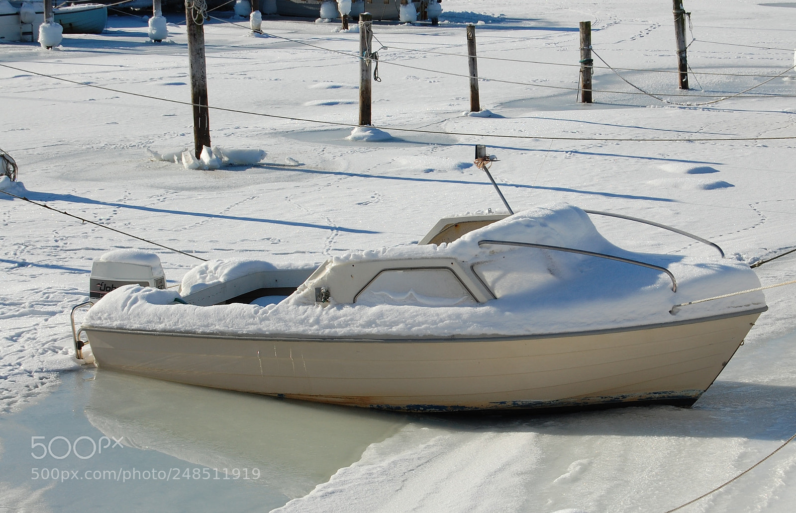 Nikon D40 sample photo. Untitled photography