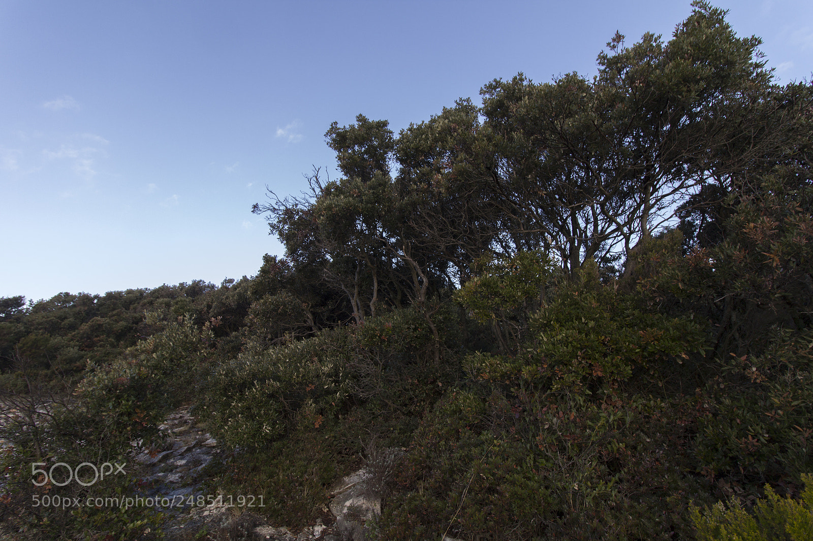 Canon EOS 600D (Rebel EOS T3i / EOS Kiss X5) sample photo. Daydreaming addiction photography
