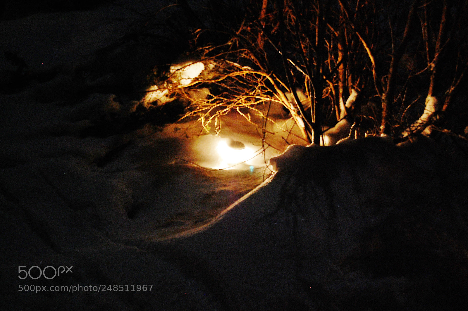 Nikon D40 sample photo. Untitled photography