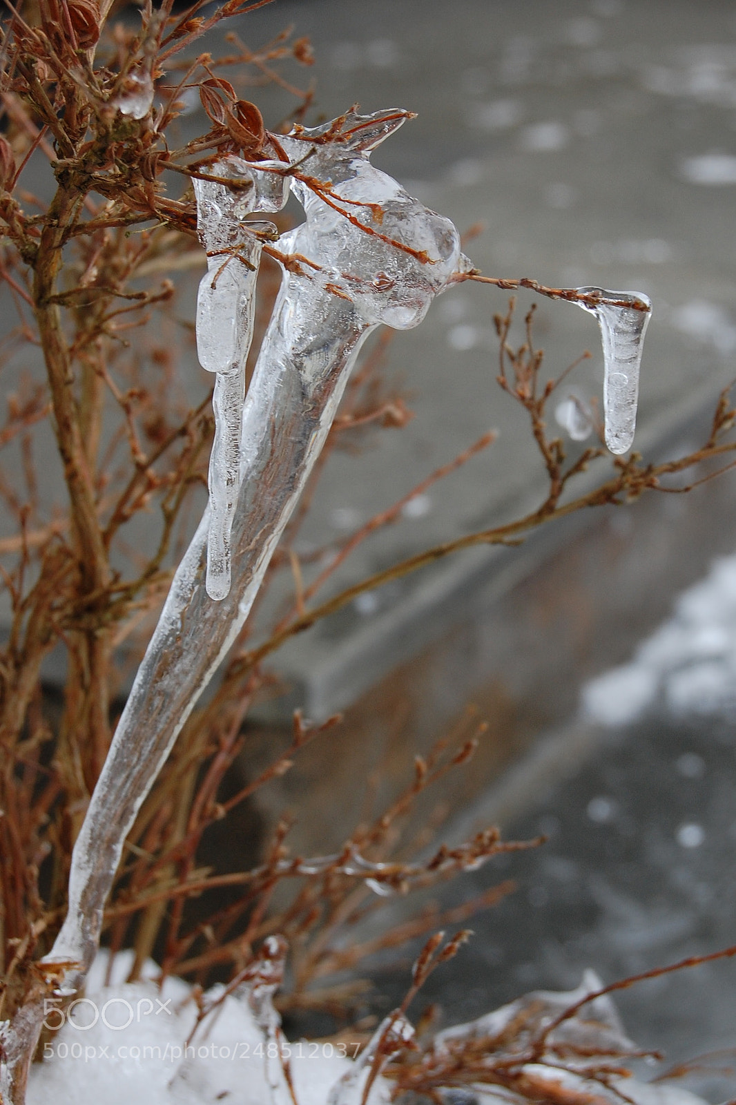 Nikon D40 sample photo. Untitled photography