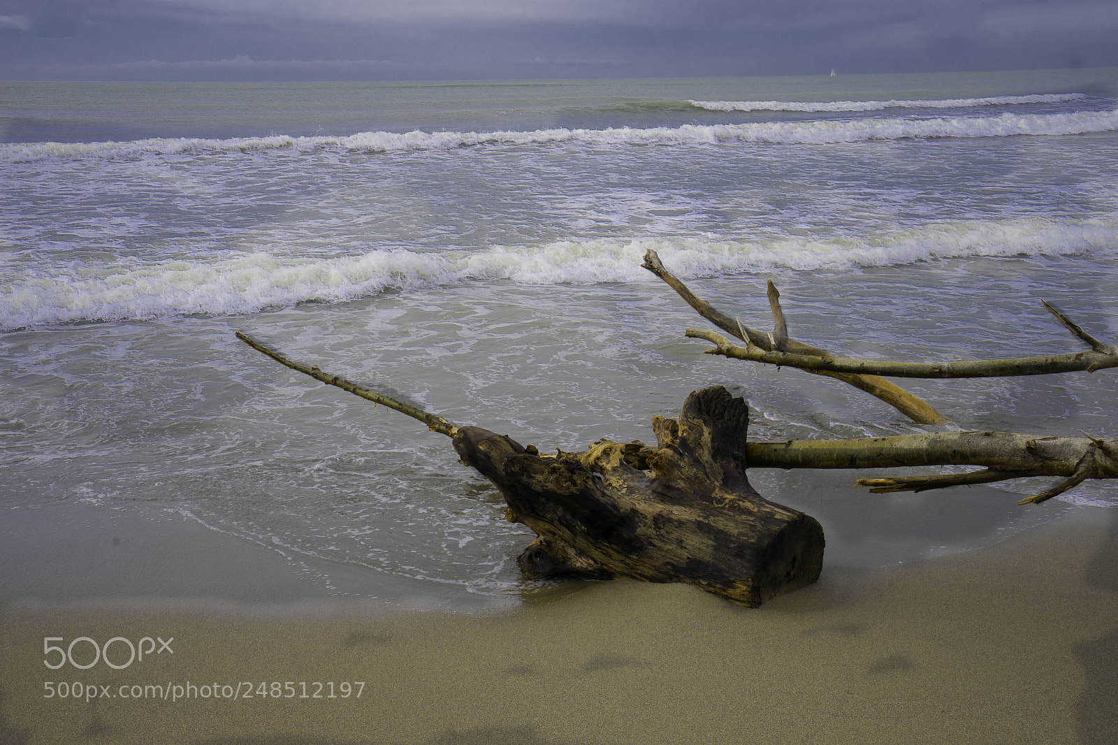 Sony a7 II sample photo. Vecchiano sei photography