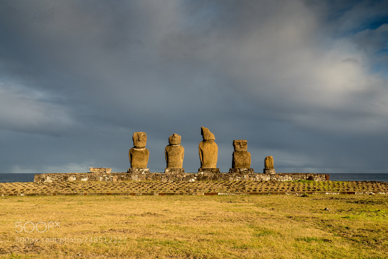 Olympus OM-D E-M5 II sample photo. Moai of easter island photography