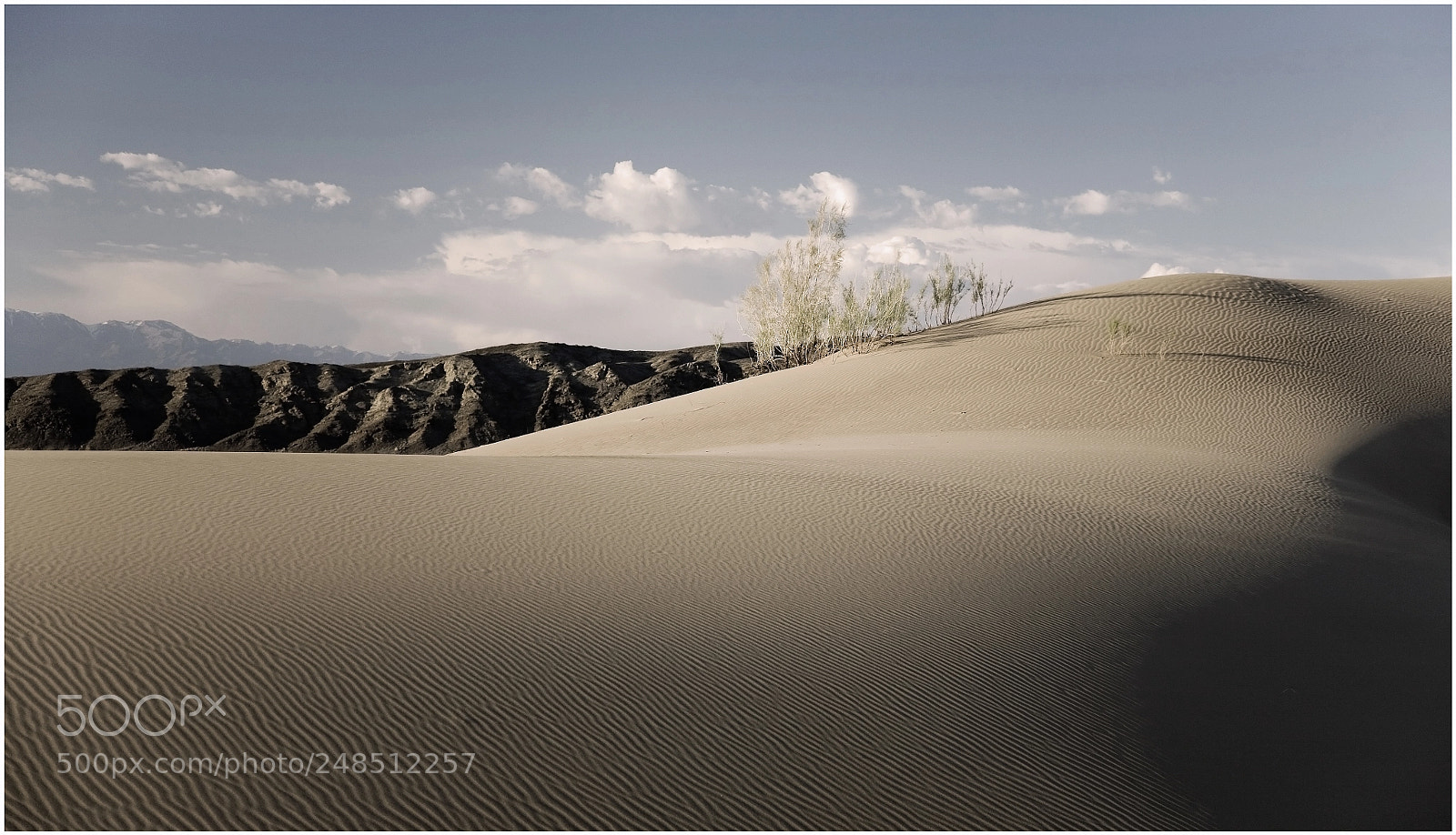 Canon EOS 5D sample photo. ***** photography