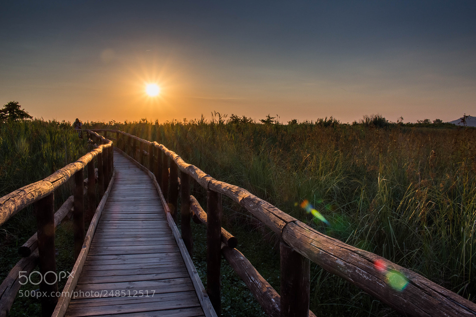 Canon EOS 100D (EOS Rebel SL1 / EOS Kiss X7) sample photo. Massaciuccoli sunset photography